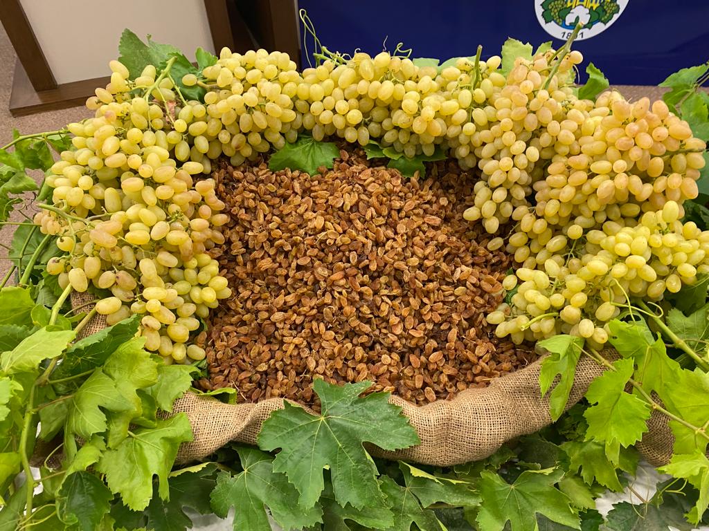 Çekirdeksiz kuru üzüm