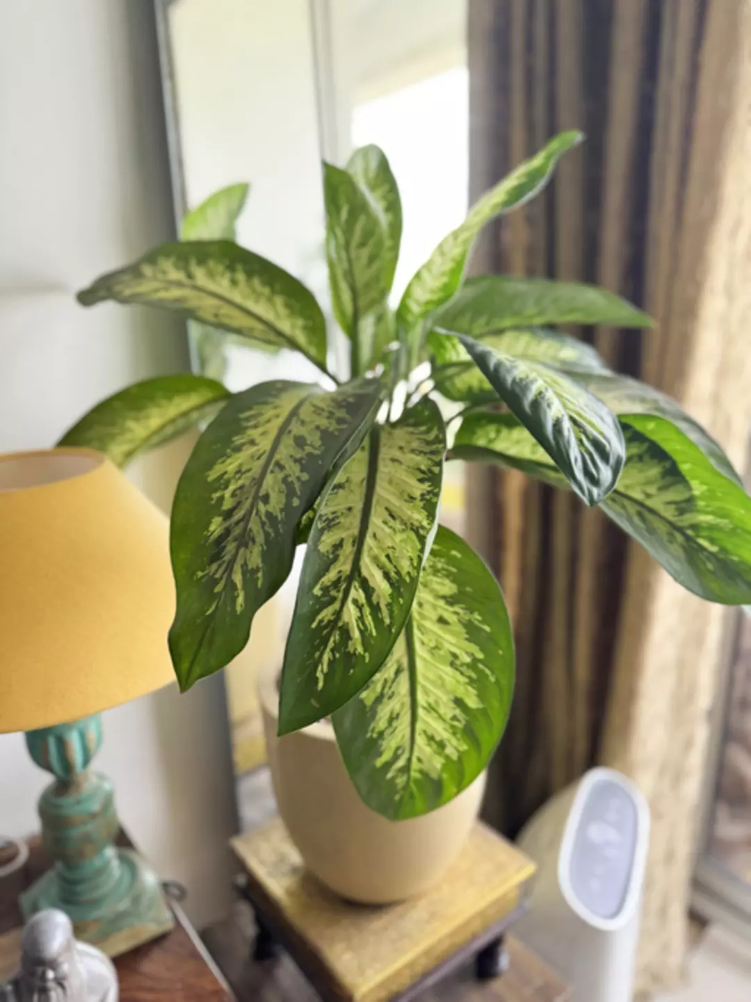 “Kekeme gibi oldum”