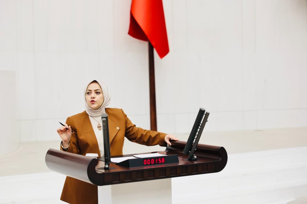 Denizli Milletvekili Sema Silkin Ün 1