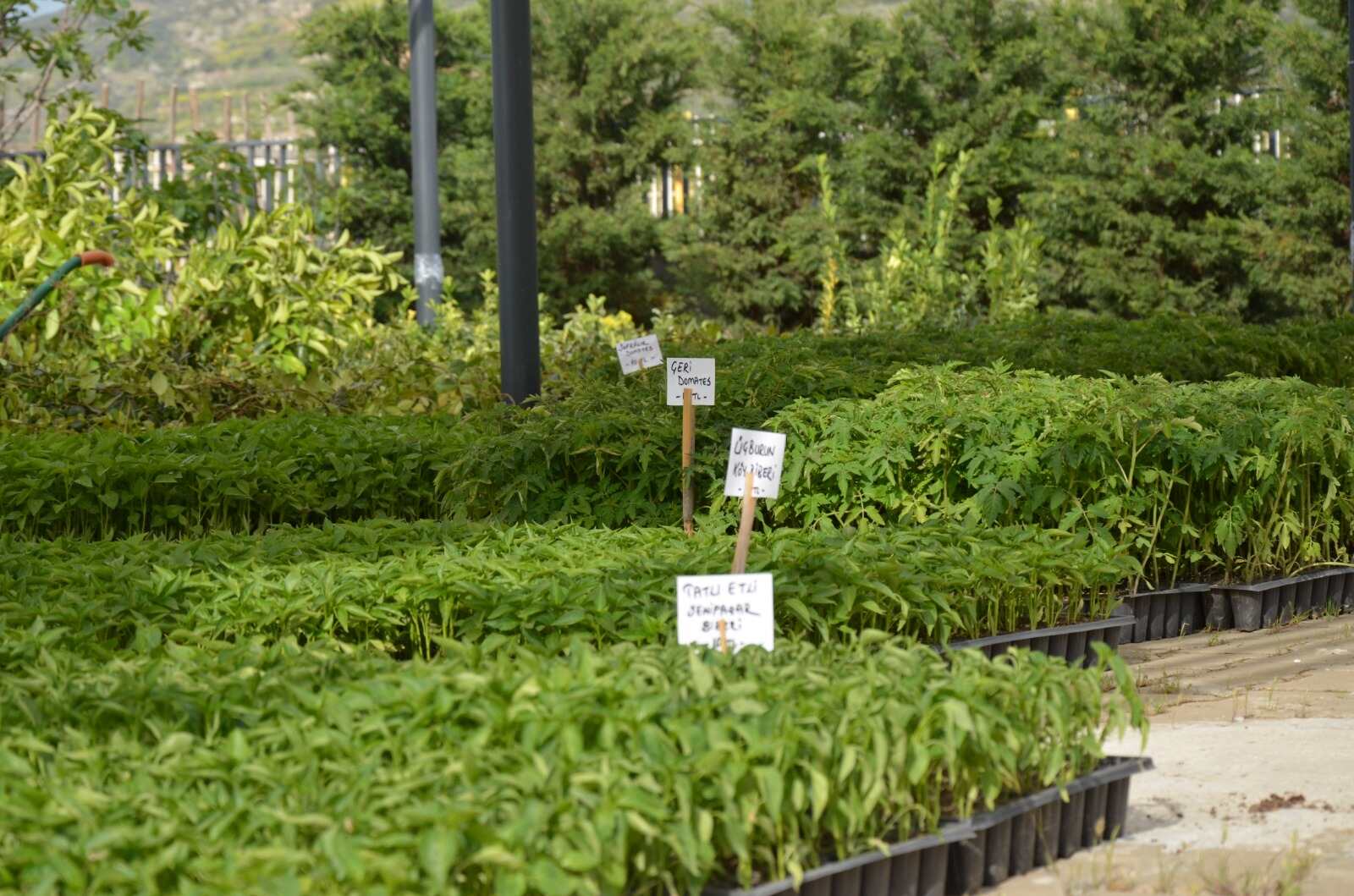 Efes Selçuk Belediyesi