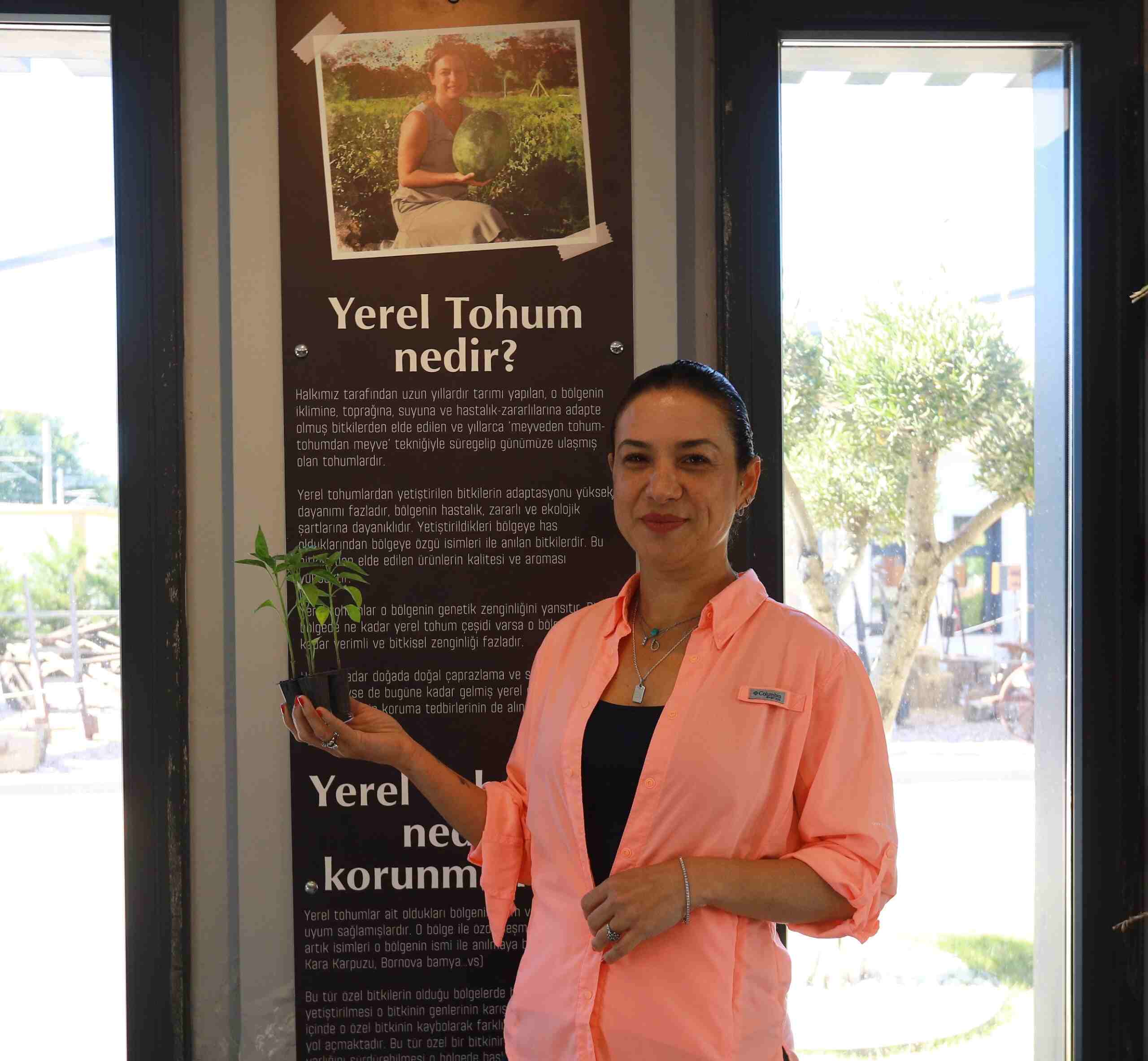 Efes Tarlası Yaşam Köyü