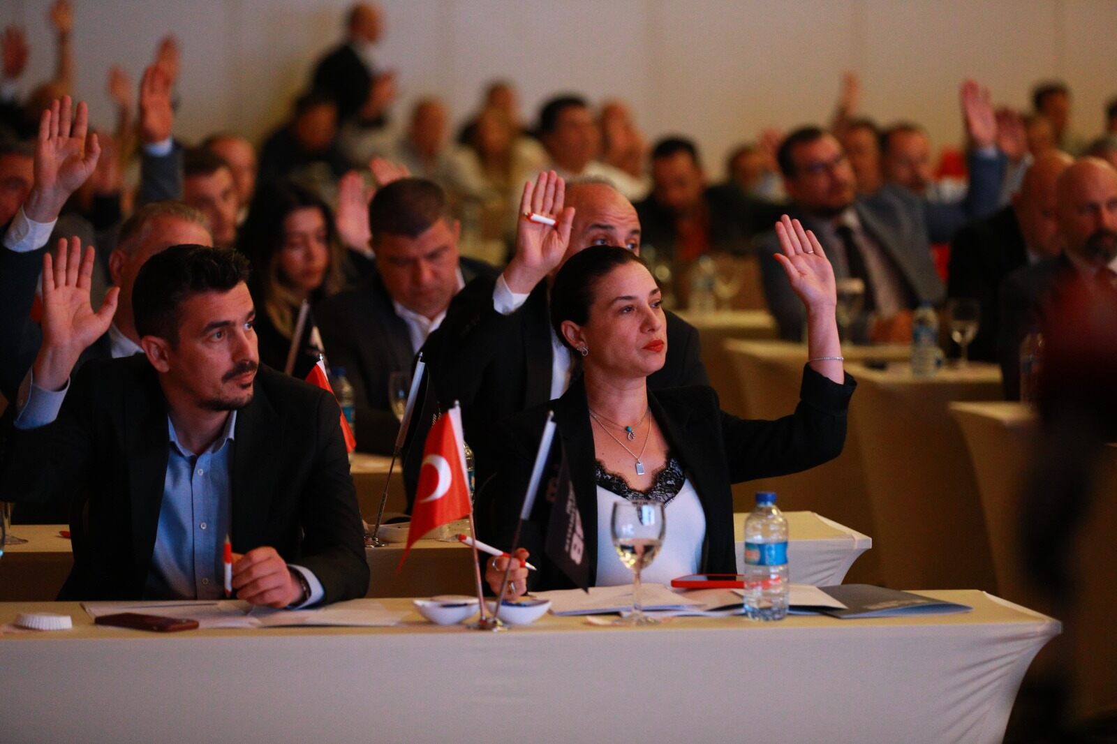 Filiz Ceritoğlu Sengel