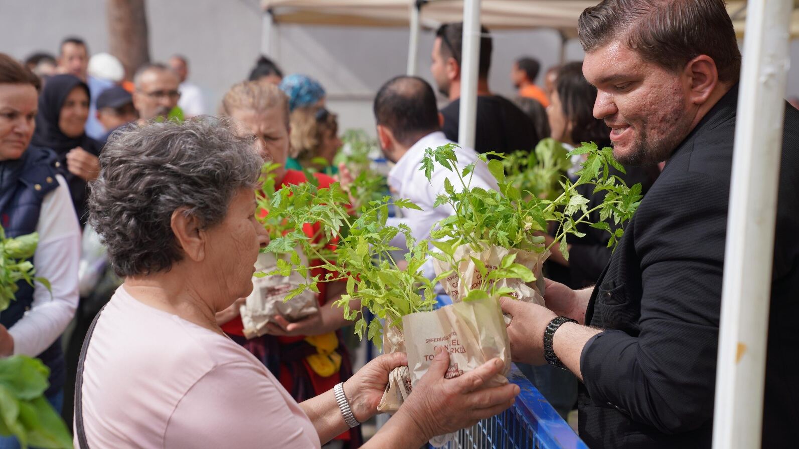 Karakılçık buğdayı