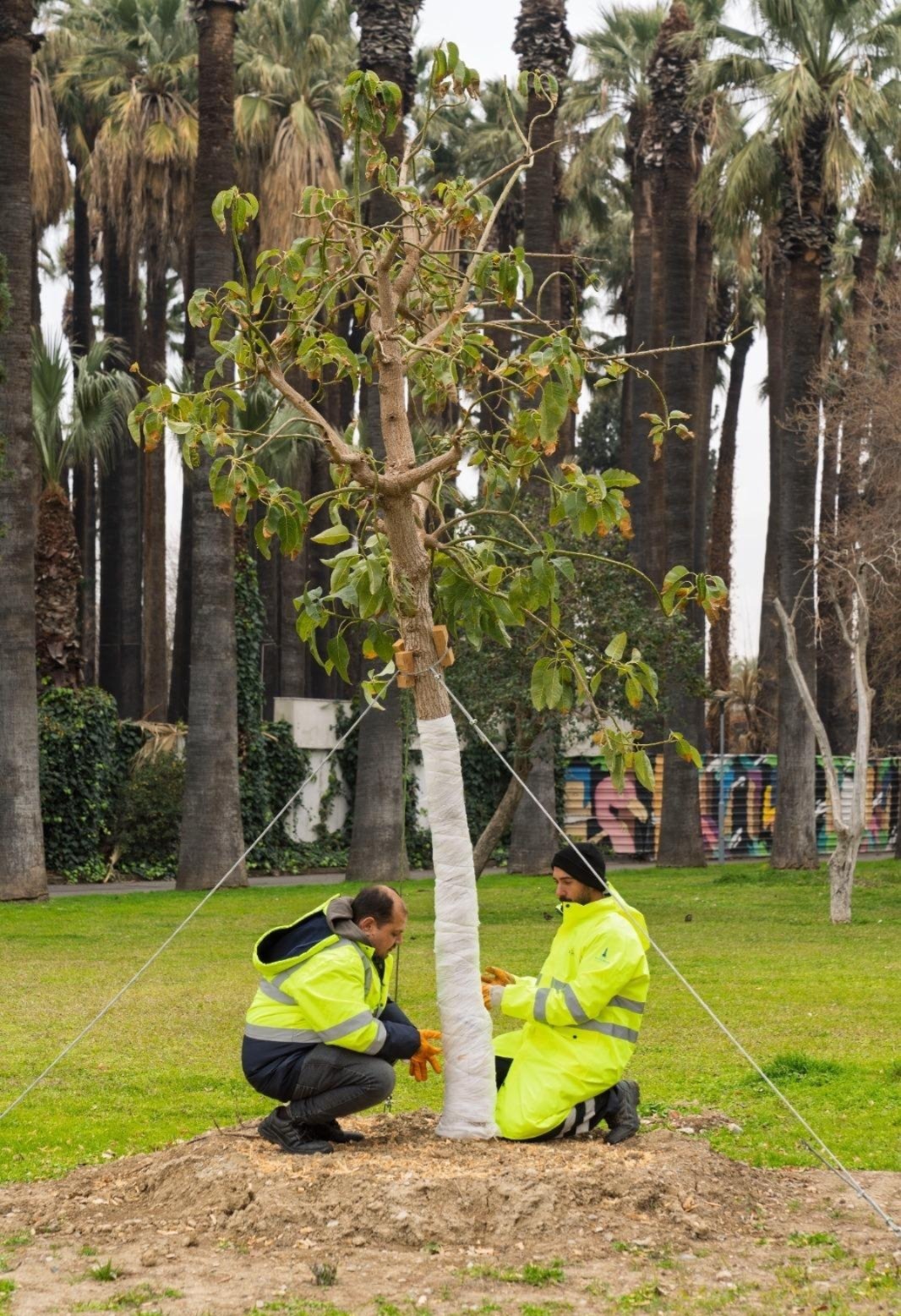 İzmir'e yeni yeşil koridorlar ve sanat durakları müjdesi
