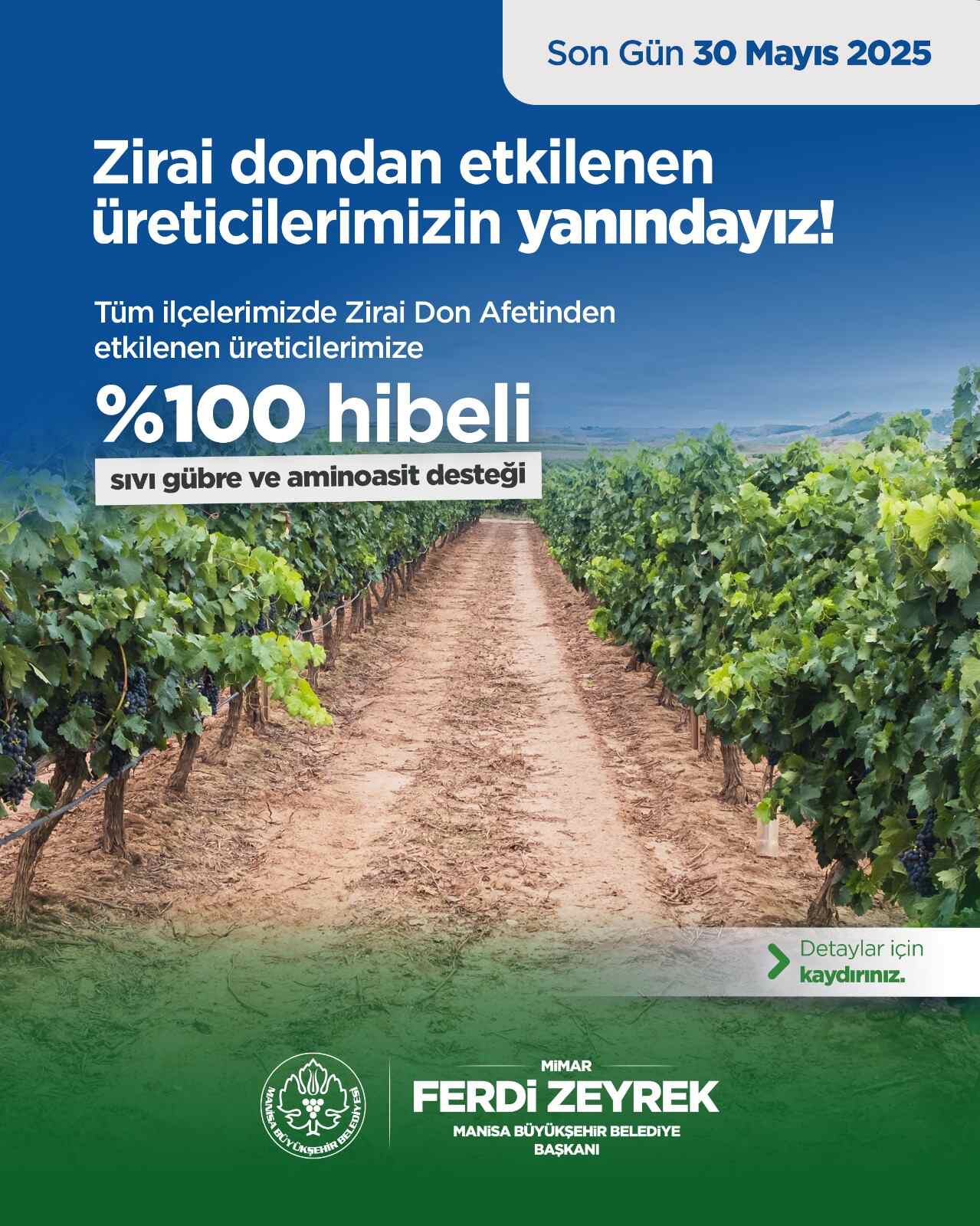 Manisa hibe desteği