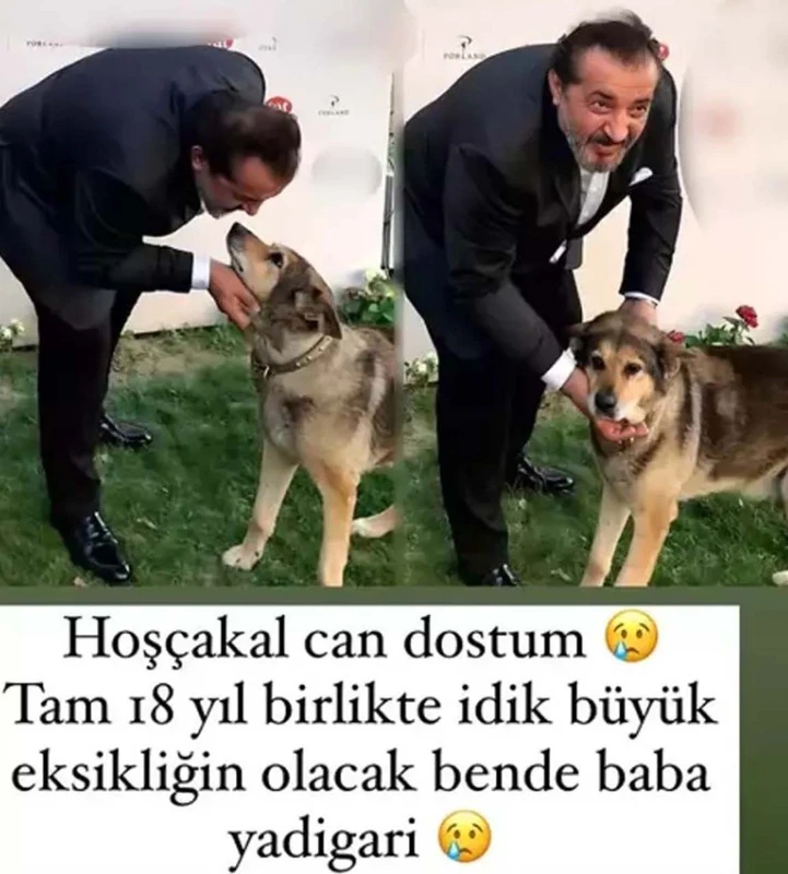 Mehmet Yalçınkaya Köpeği