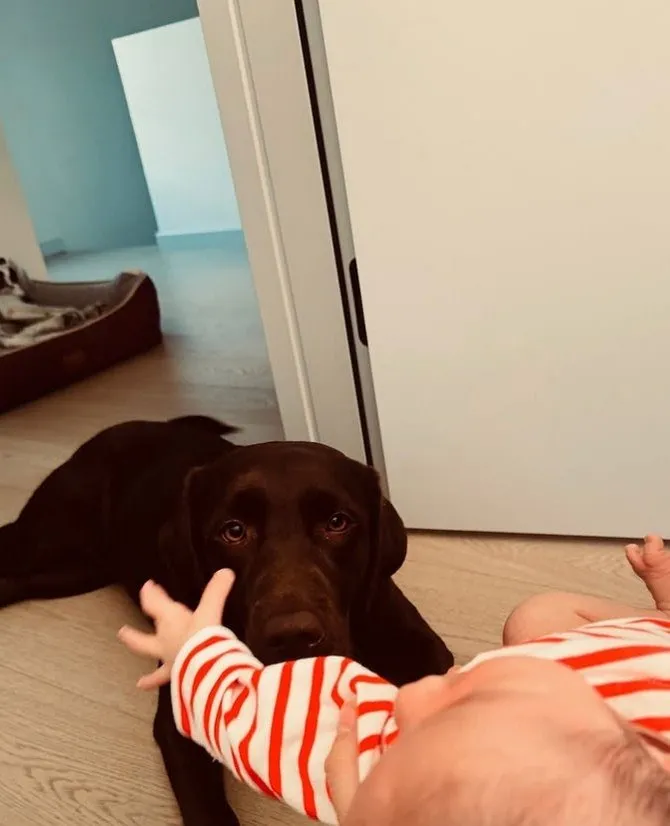 Pınar Deniz Bebeği