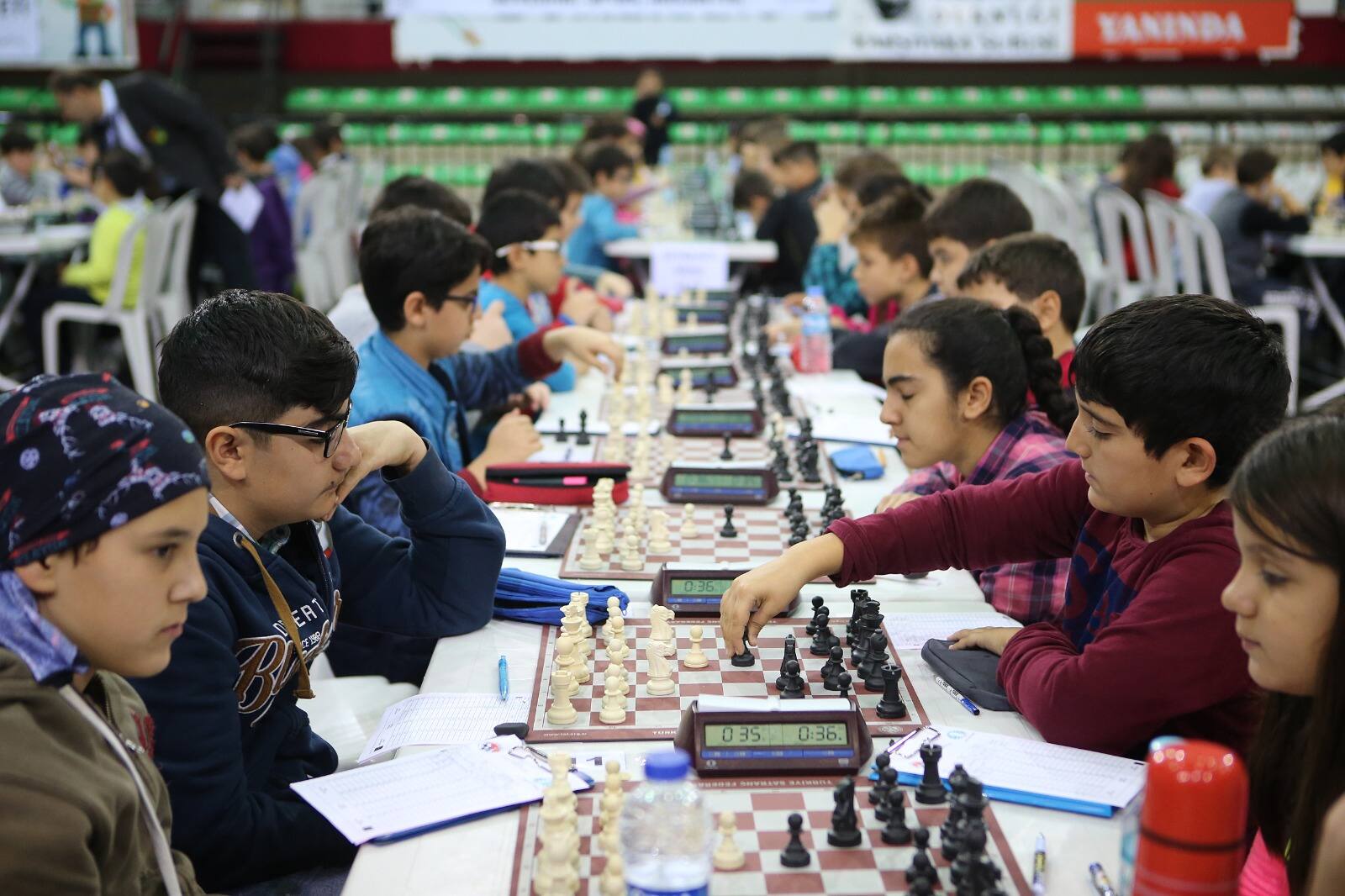 Türkiye Satranç Federasyonu