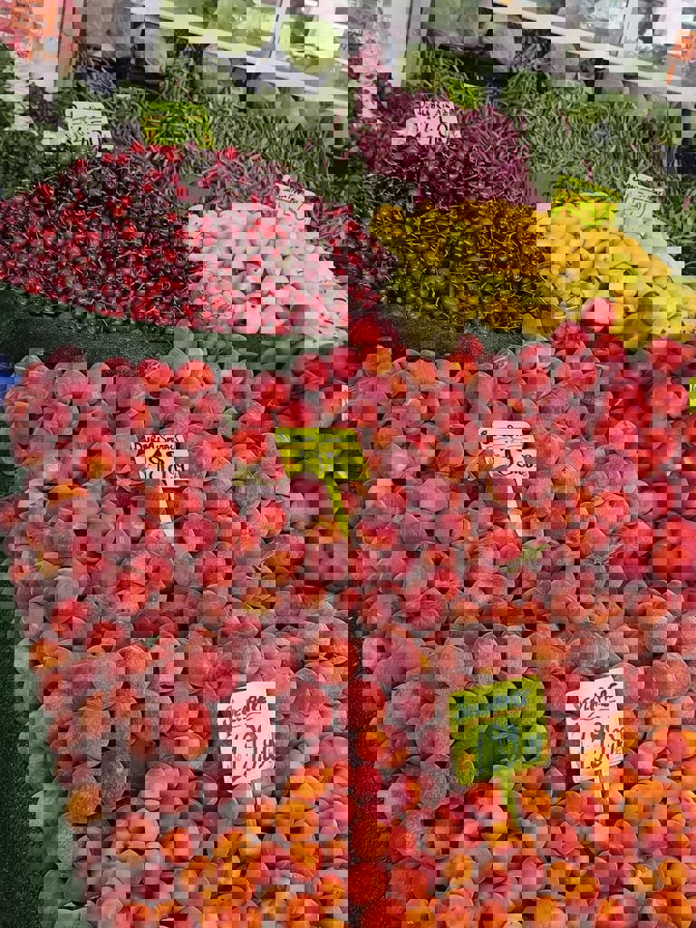 Whatsapp Image 2025 05 28 At 13.47.48 768X1024