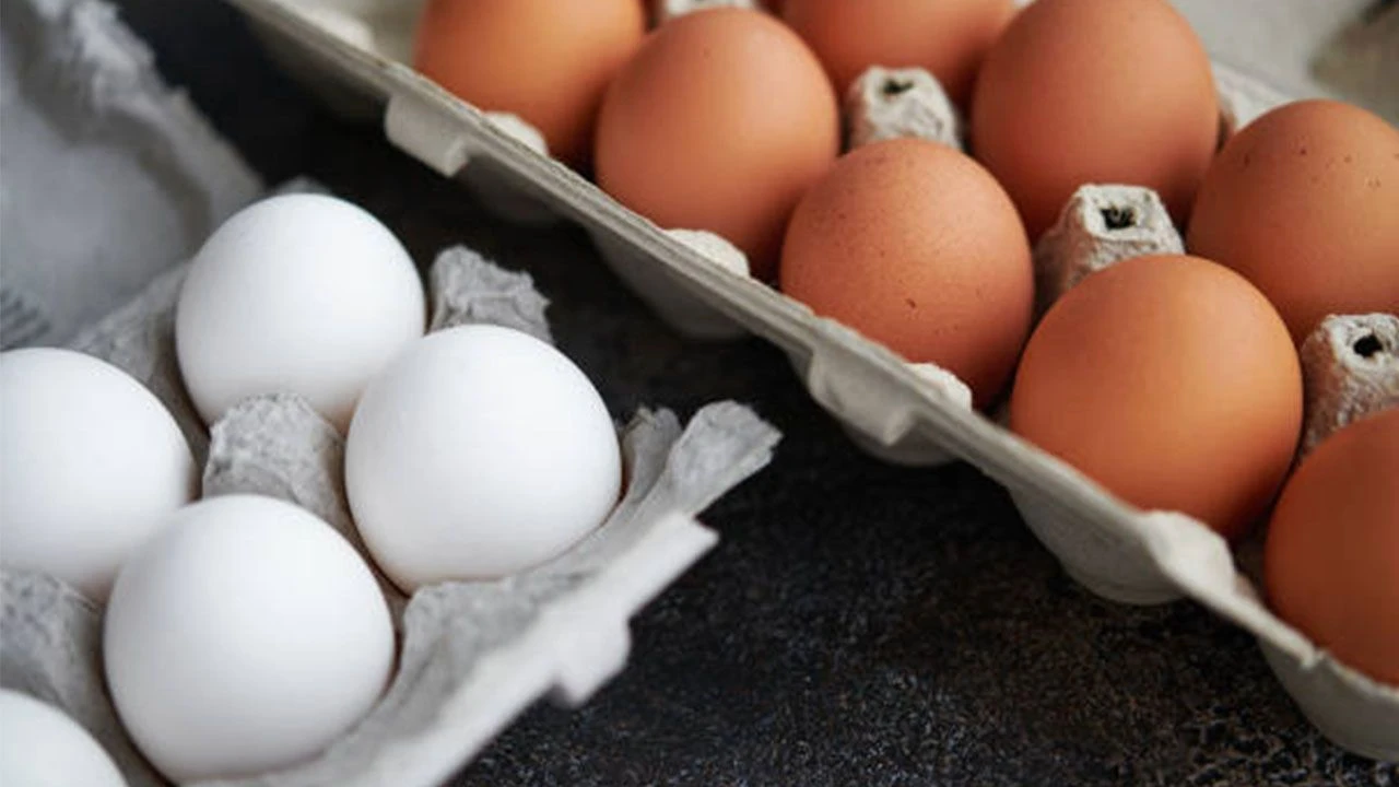 Yumurta Fiyatları Düştü