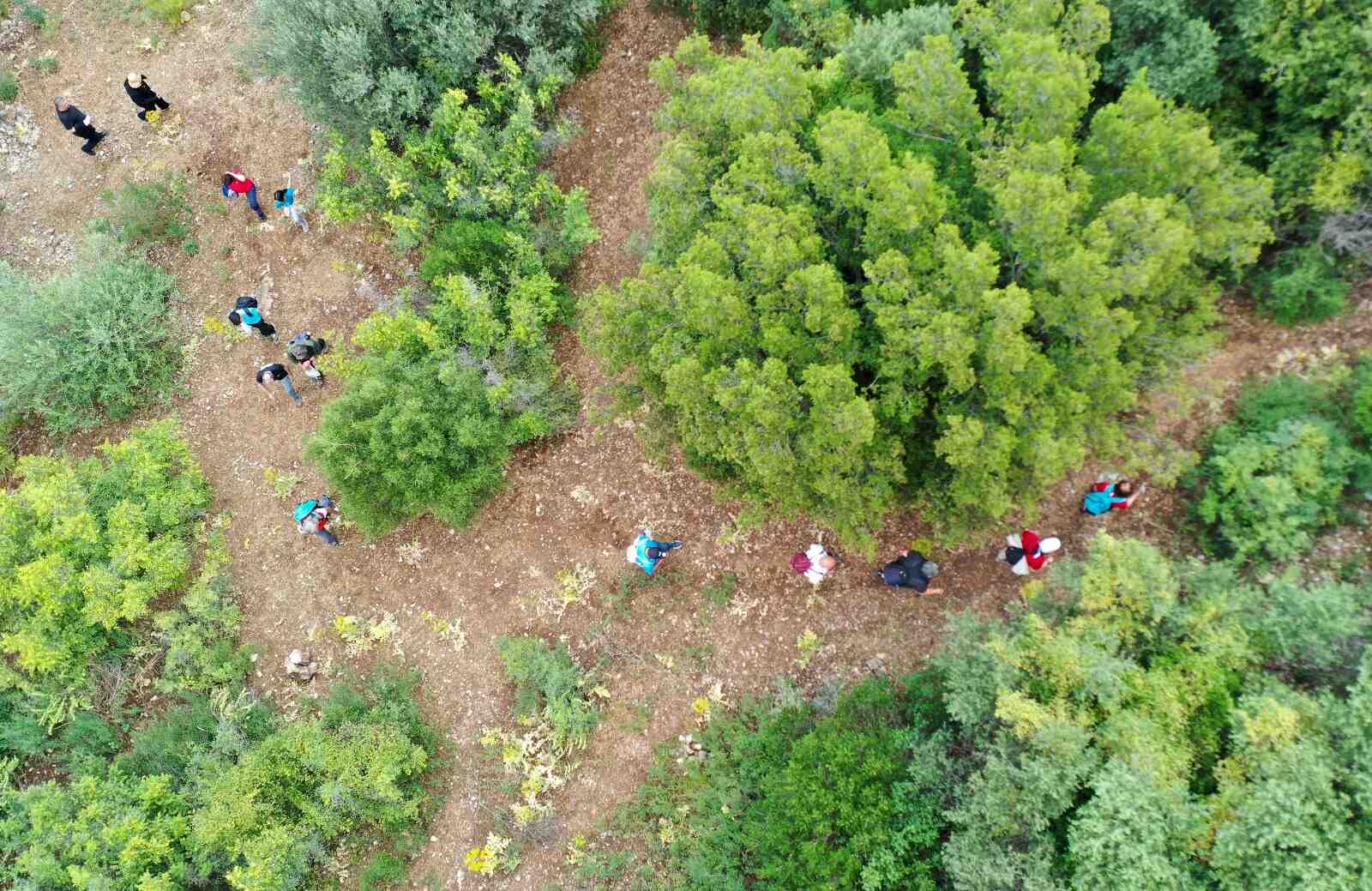 Anemon Dağcılık Spor Kulübü