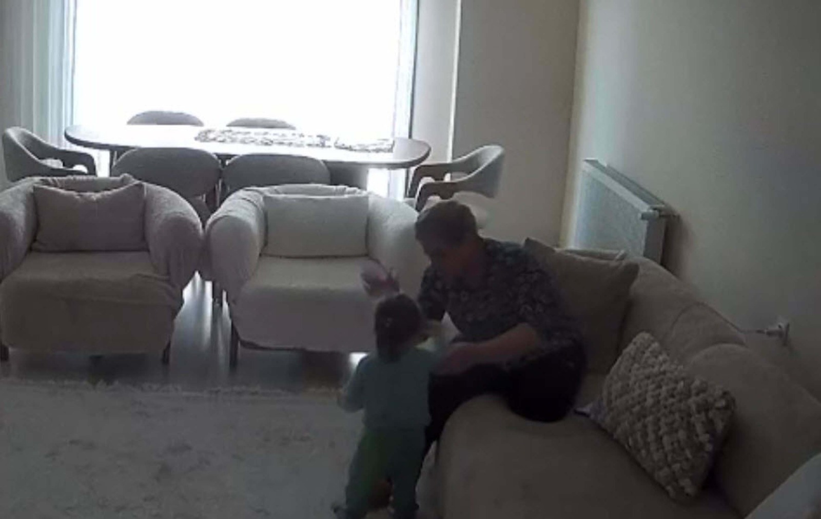 Mahkeme süreci ve tartışmalı karar