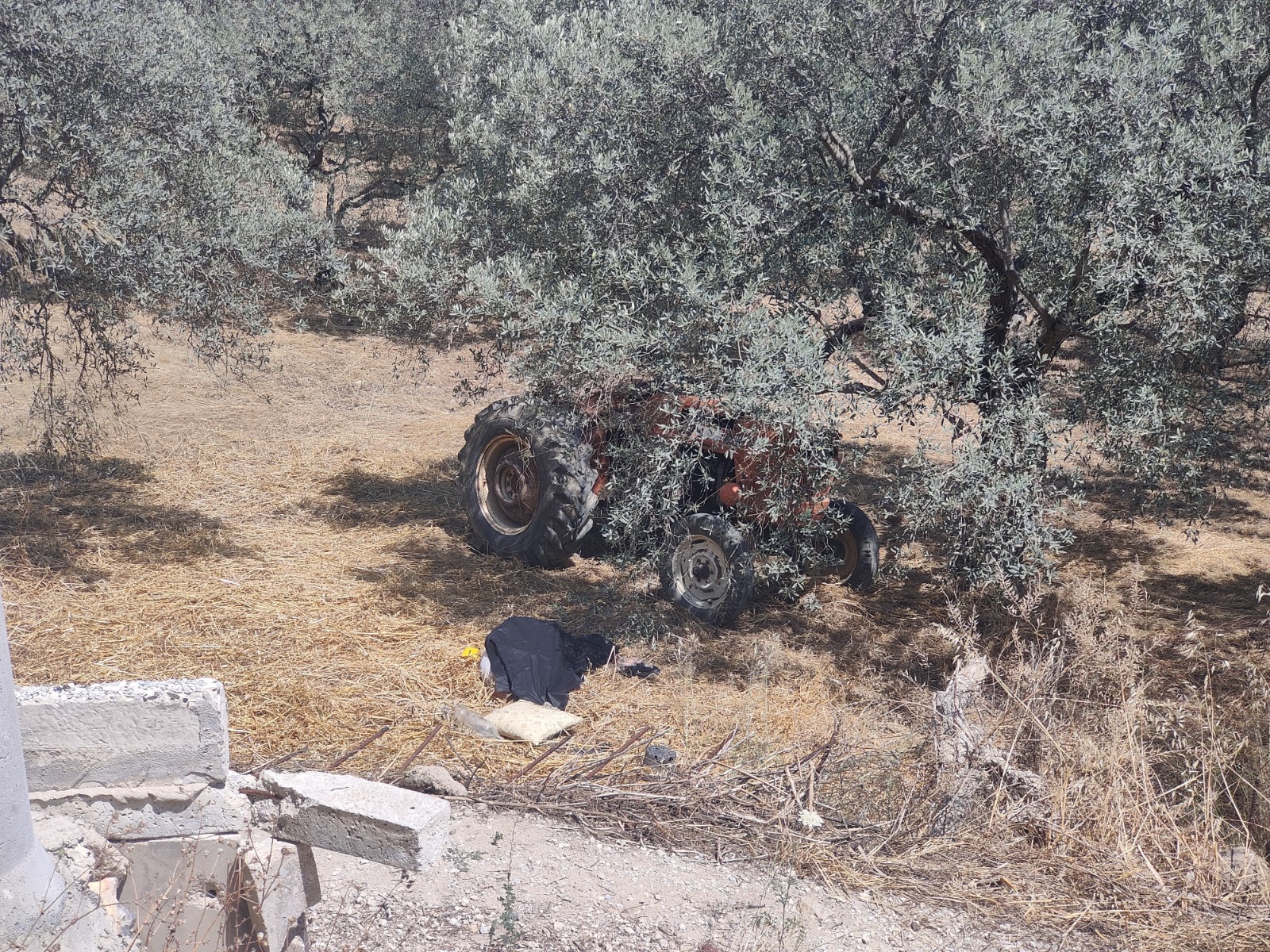 Cenaze İzmir adli tıp kurumuna kaldırıldı, soruşturma başlatıldı
