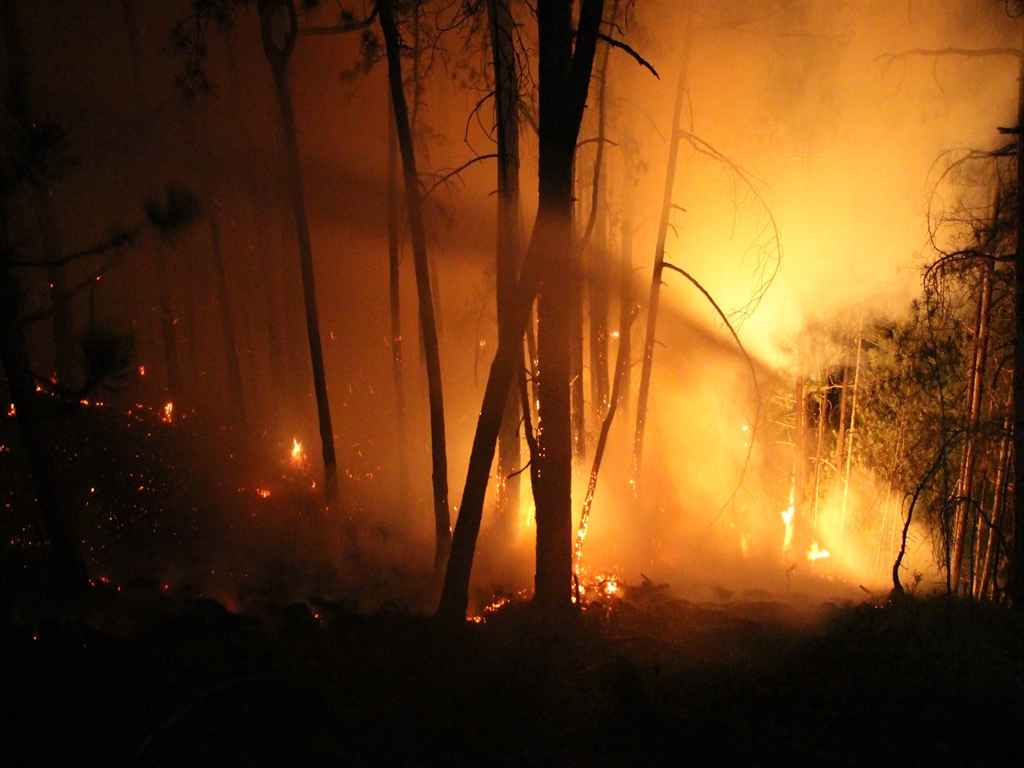 Bolu Göynük Yangın