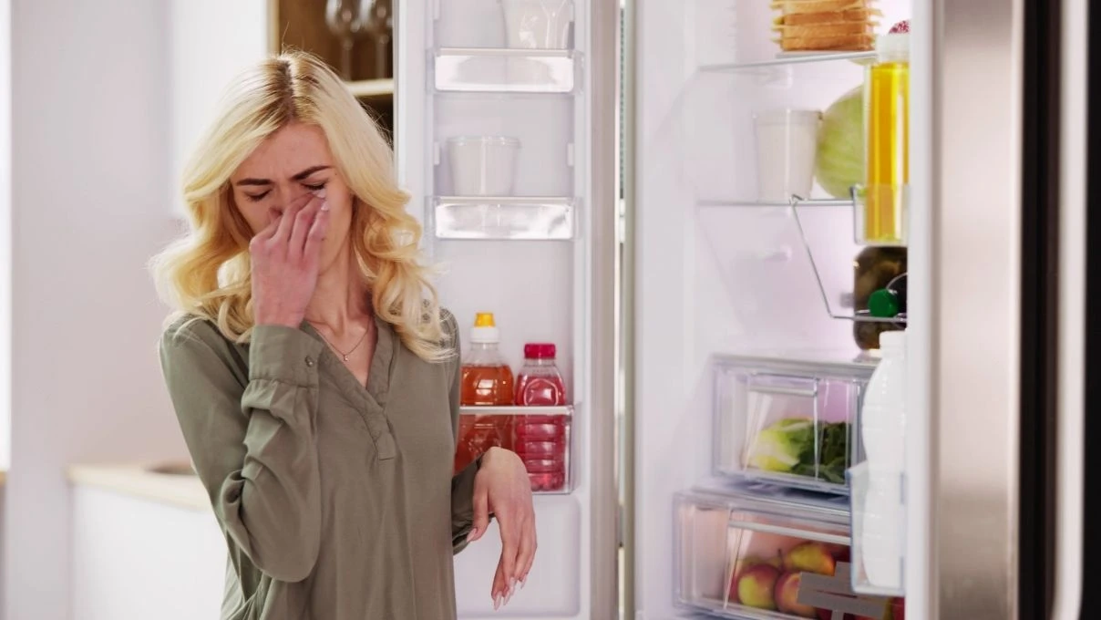 Buzdolabına Ters Çevrilmiş Tabak Koymak Bakın Ne Işe Yarışıyormuş