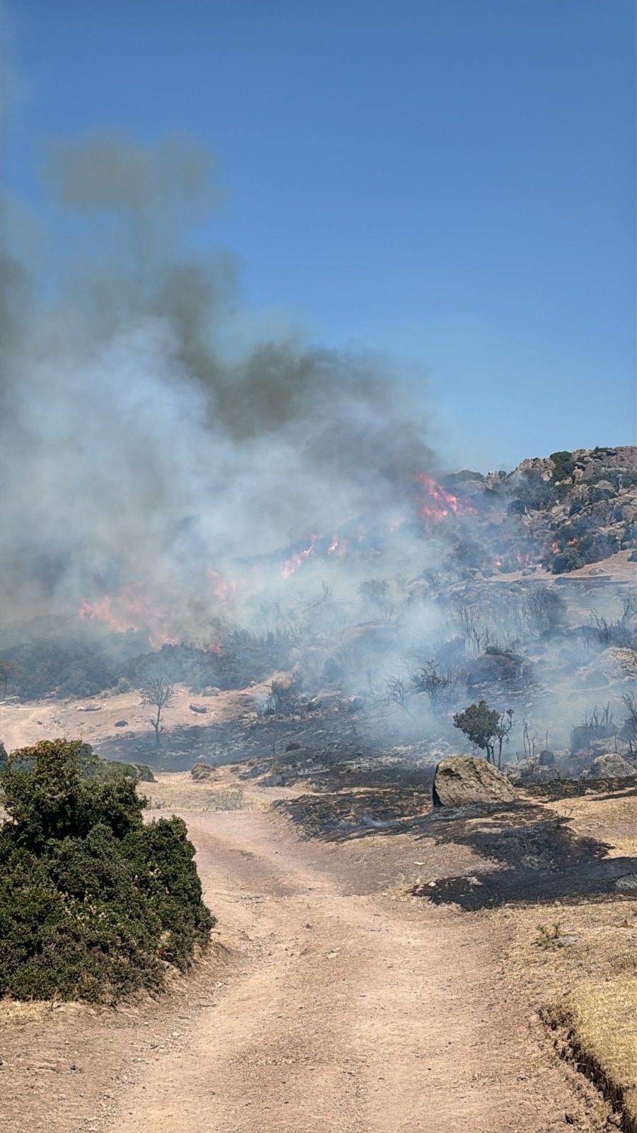Havadan ve karadan yoğun çaba harcandı