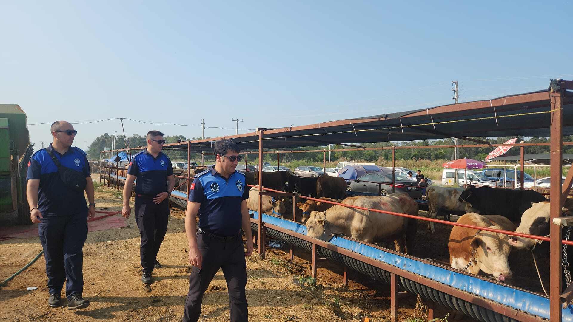 Çiğli kurban satış ve kesim alanları