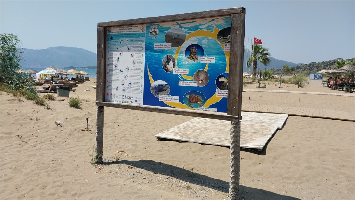 Deniz Kaplumbağaları Araştırma, Kurtarma ve Rehabilitasyon Merkezi