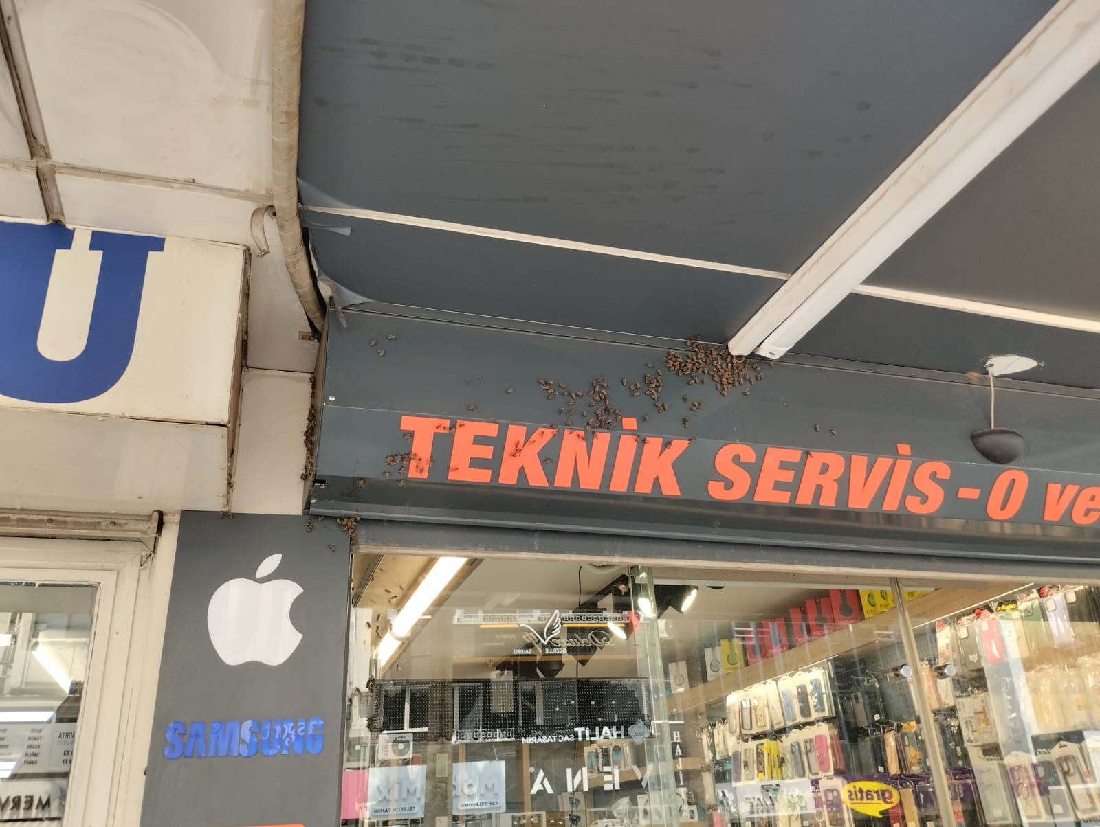 Arıcı esnaflar duruma el koydu