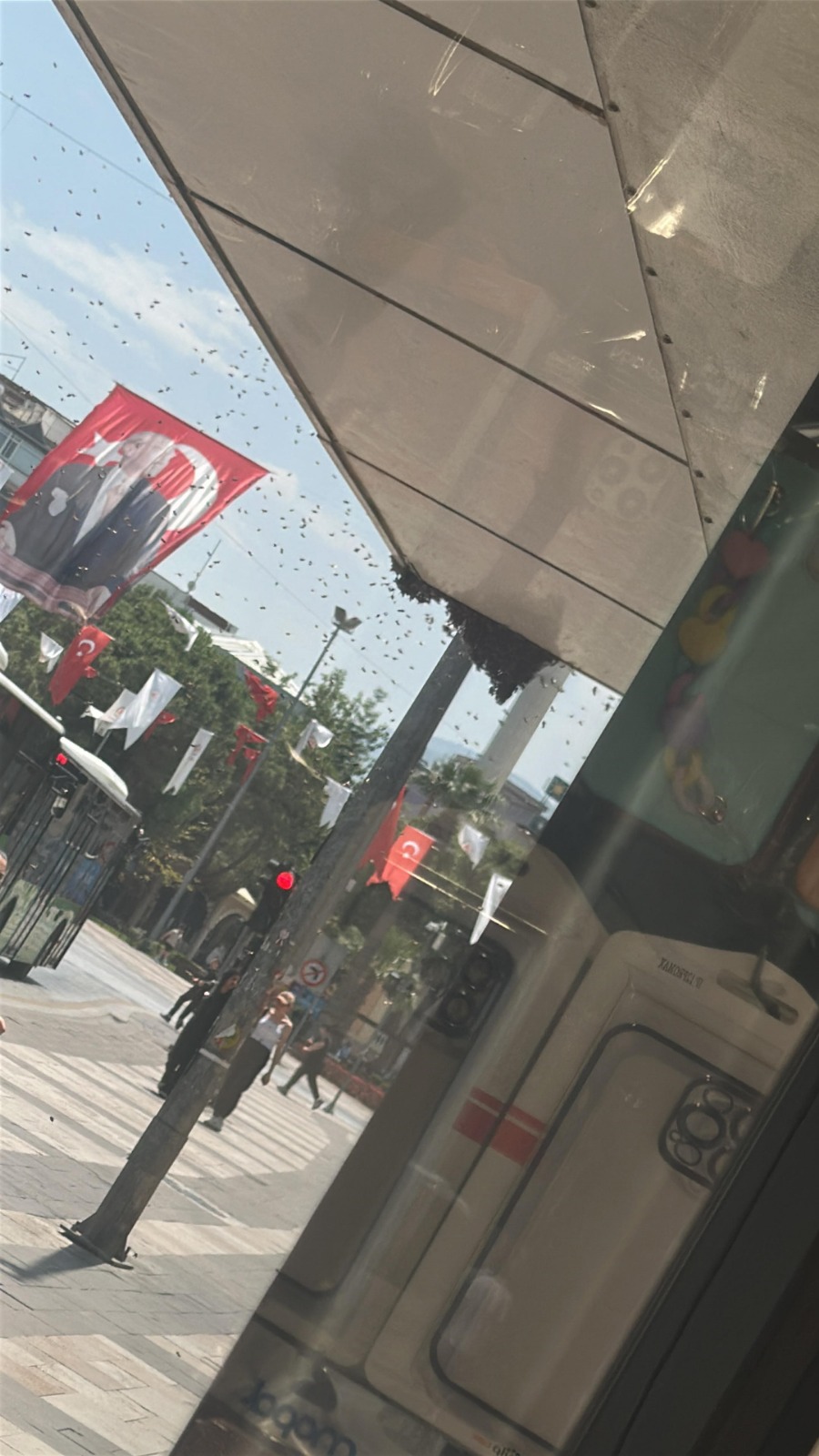 "Korkmaya gerek yok, saldırmazlar"