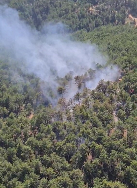 Ekipler seferber oldu, hasar tespit ediliyor