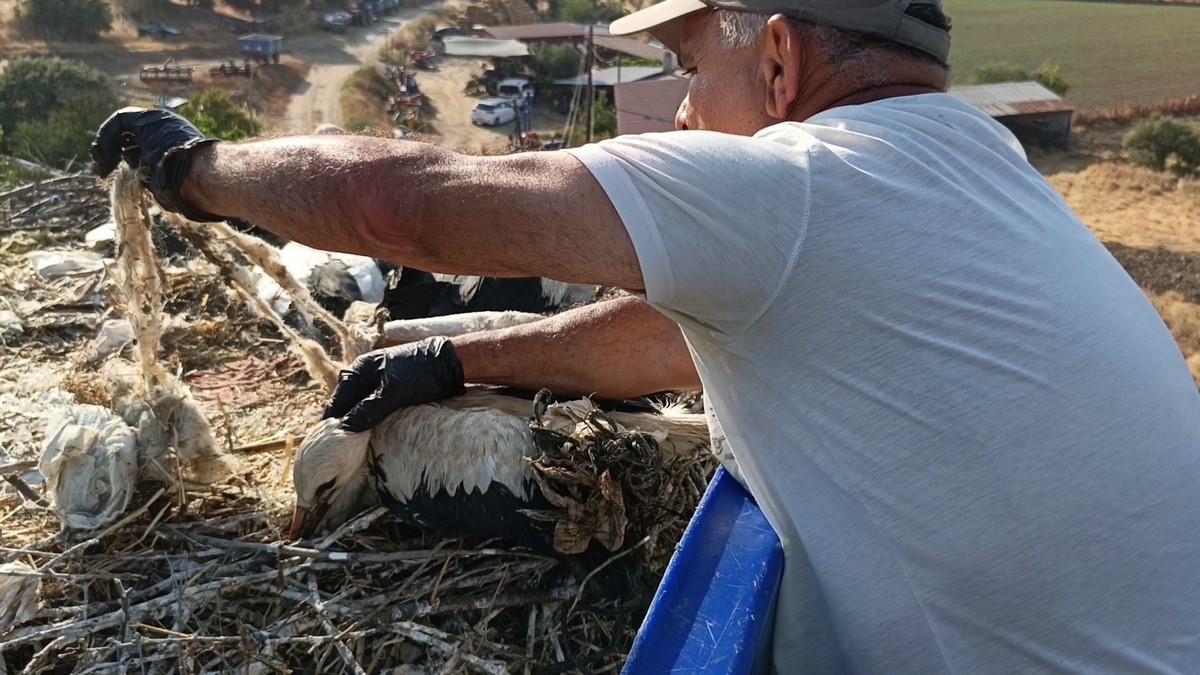 Ekosistemi Koruma ve Doğa Sevenler Derneği