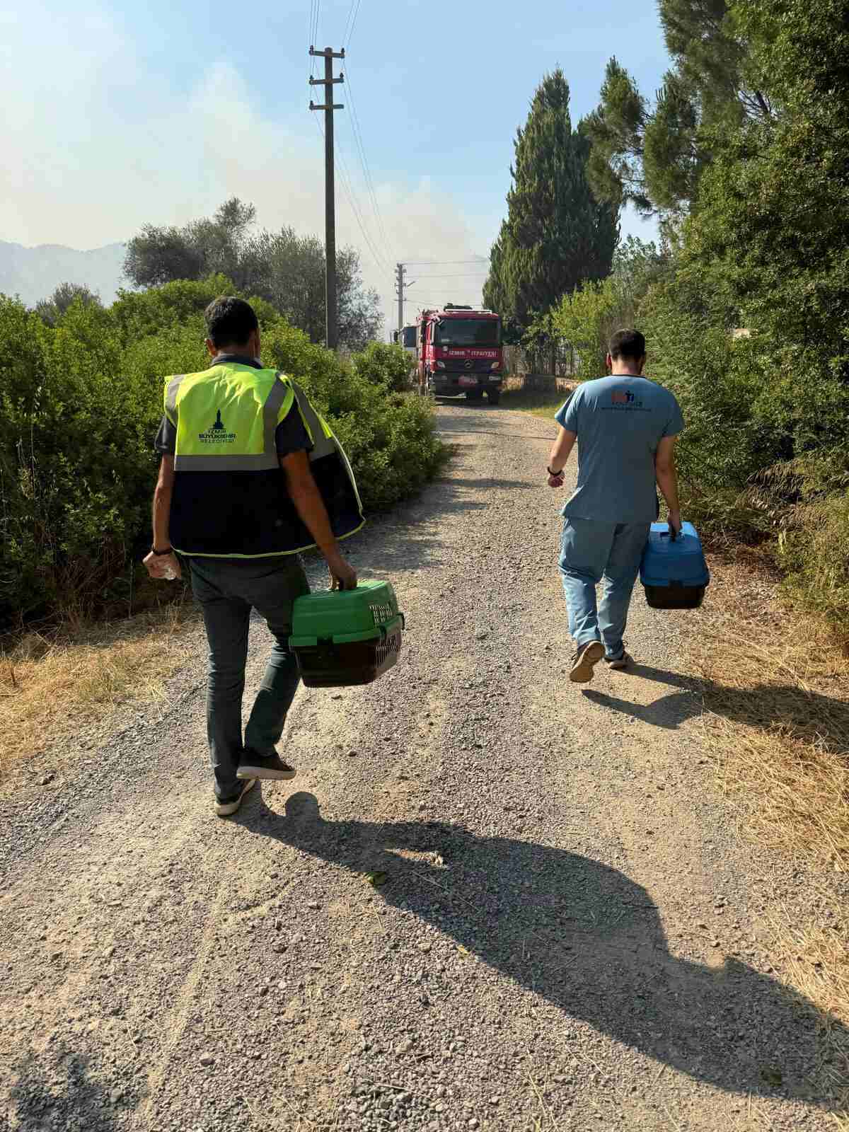Fuar Küçük Hayvan Polikliniği
