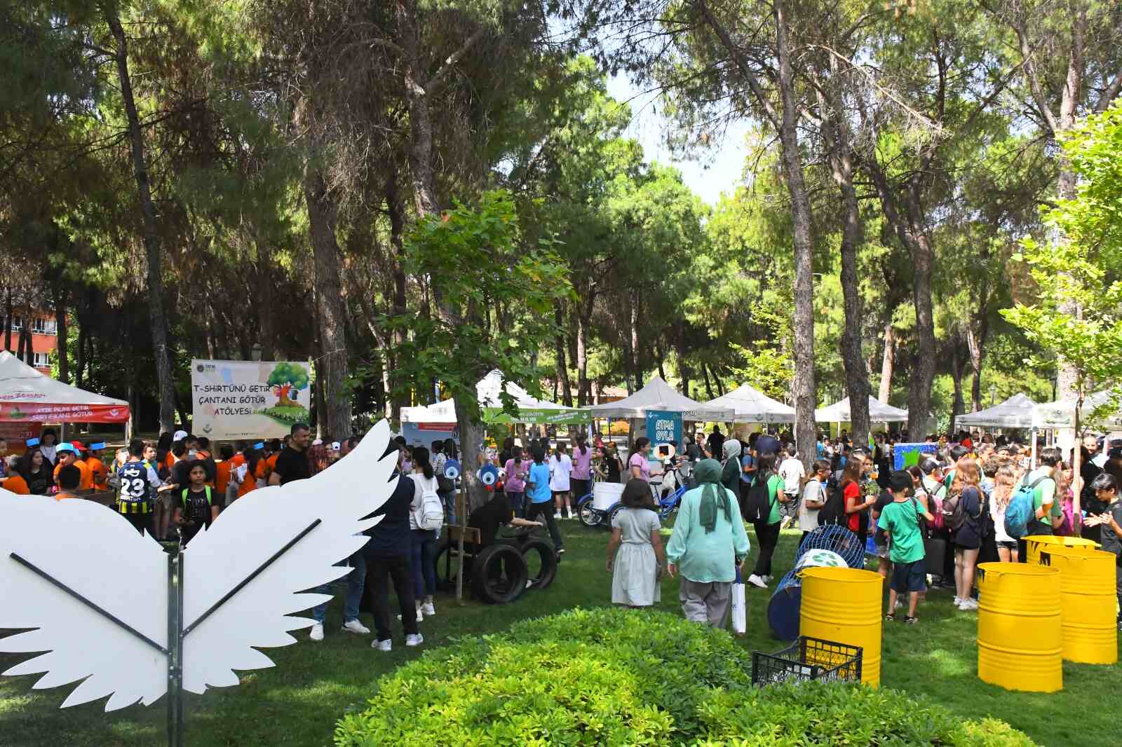 Gazi Çamlığı Etkinlik Alanı