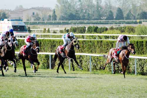 Türkiye’nin en prestijli yarışı ekranlara taşınıyor