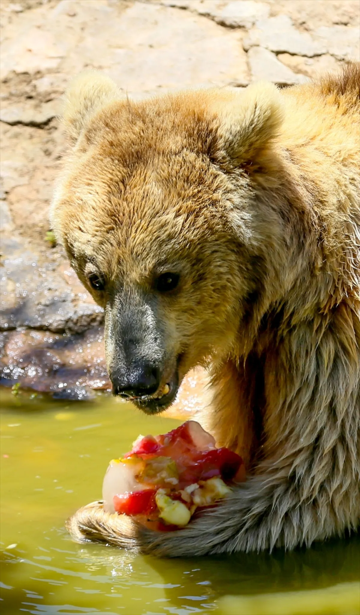 Gaziantep Hayvanat Bahcesi2