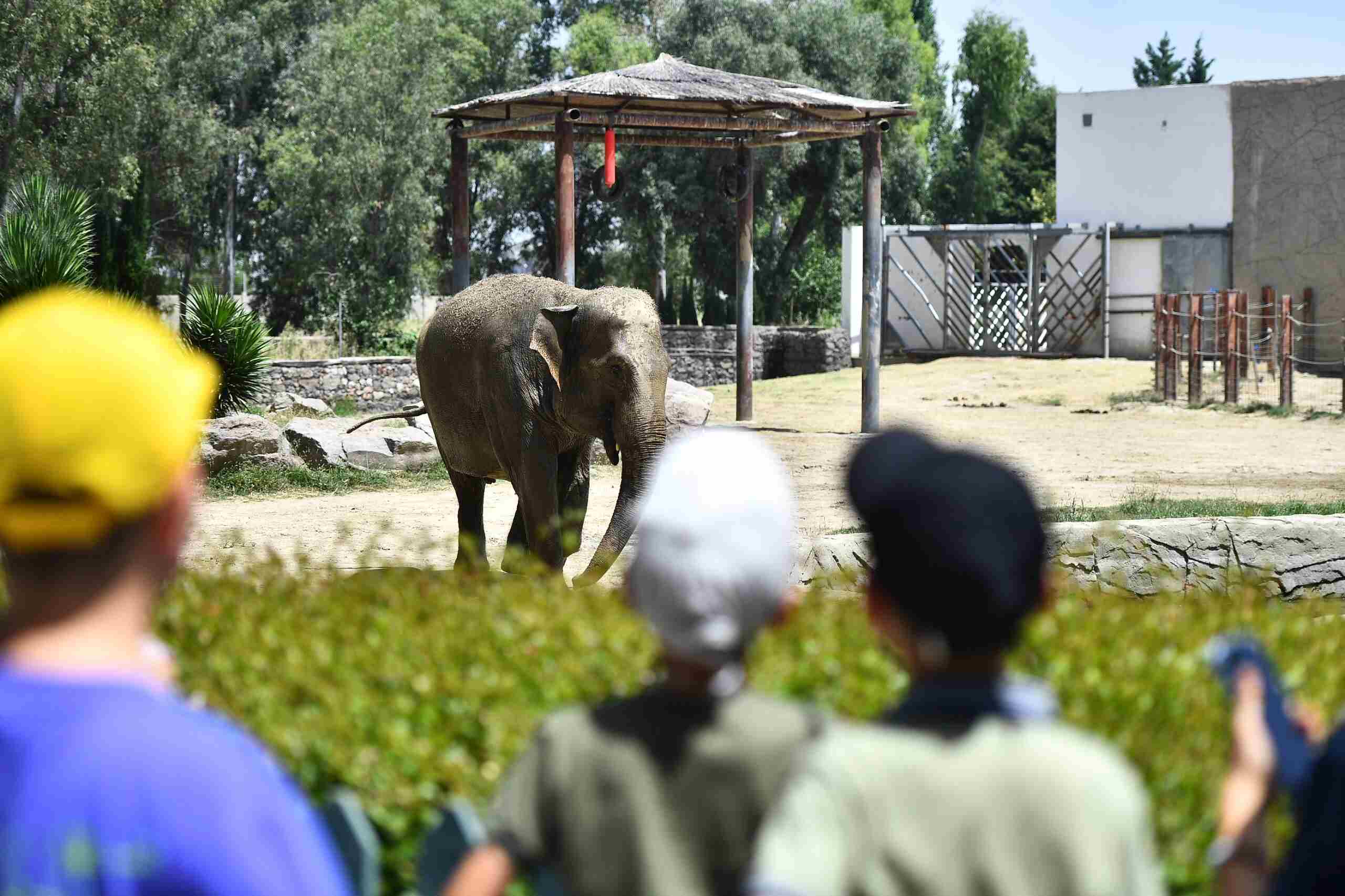 İzmir Doğal yaşam parkı