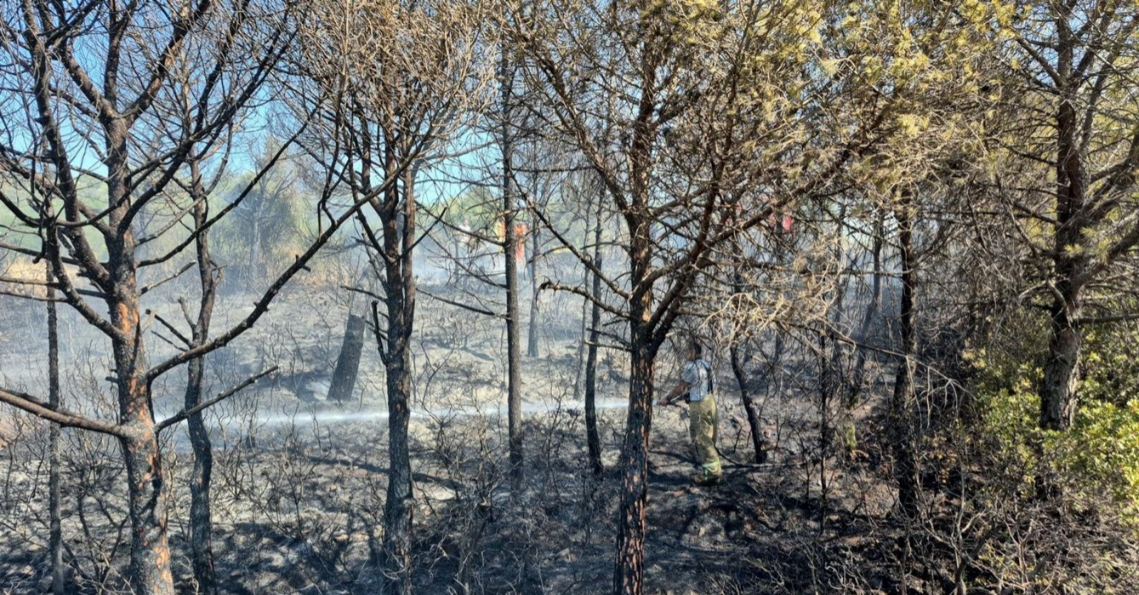 Bornova'daki plastik deposunda zorlu mücadele