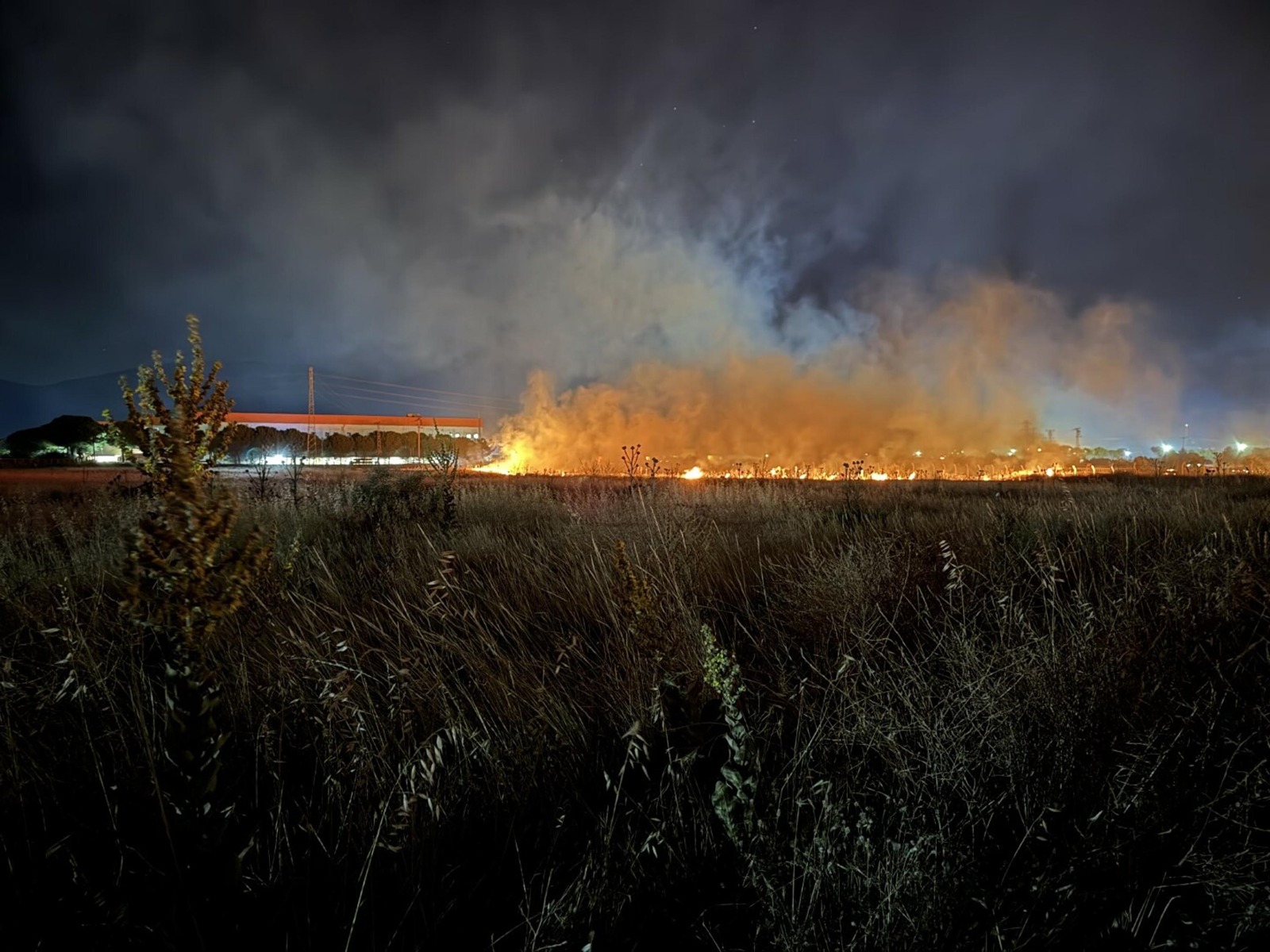 Rüzgarın etkisiyle büyüyen alevlere hızlı müdahale