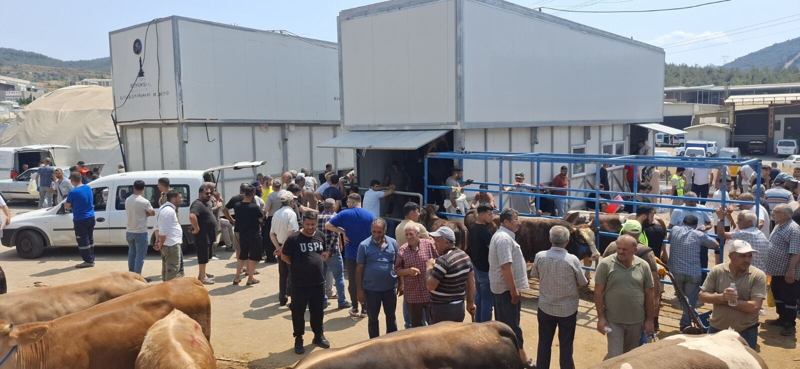 İzmir mobil büyükbaş kurban kesim ünitesi