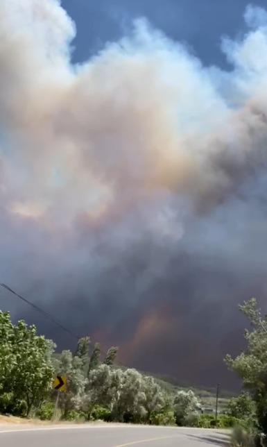 Rüzgarın şiddetiyle yangın hızla yayıldı