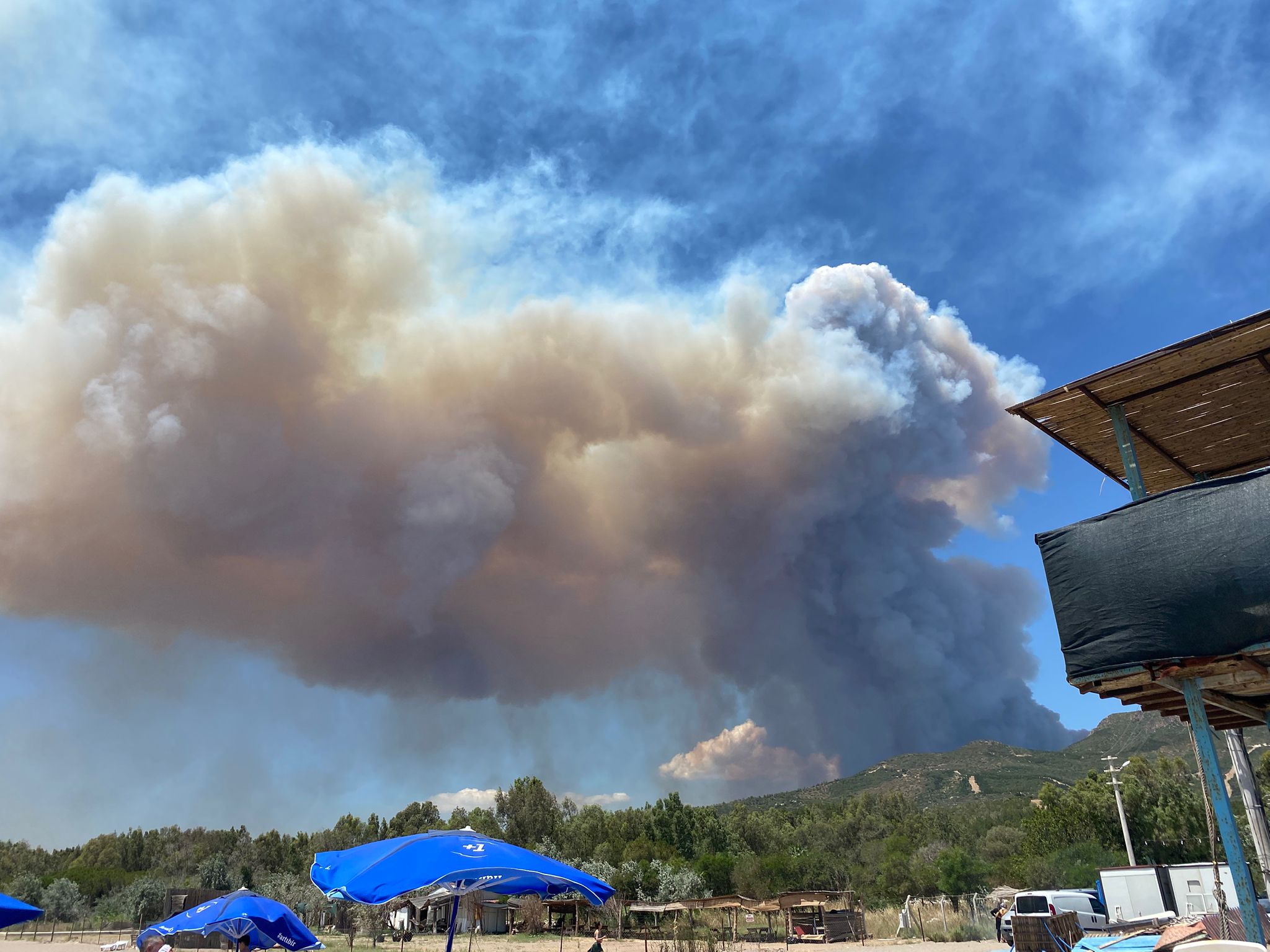 Rüzgarın etkisiyle yangın hızla yayıldı