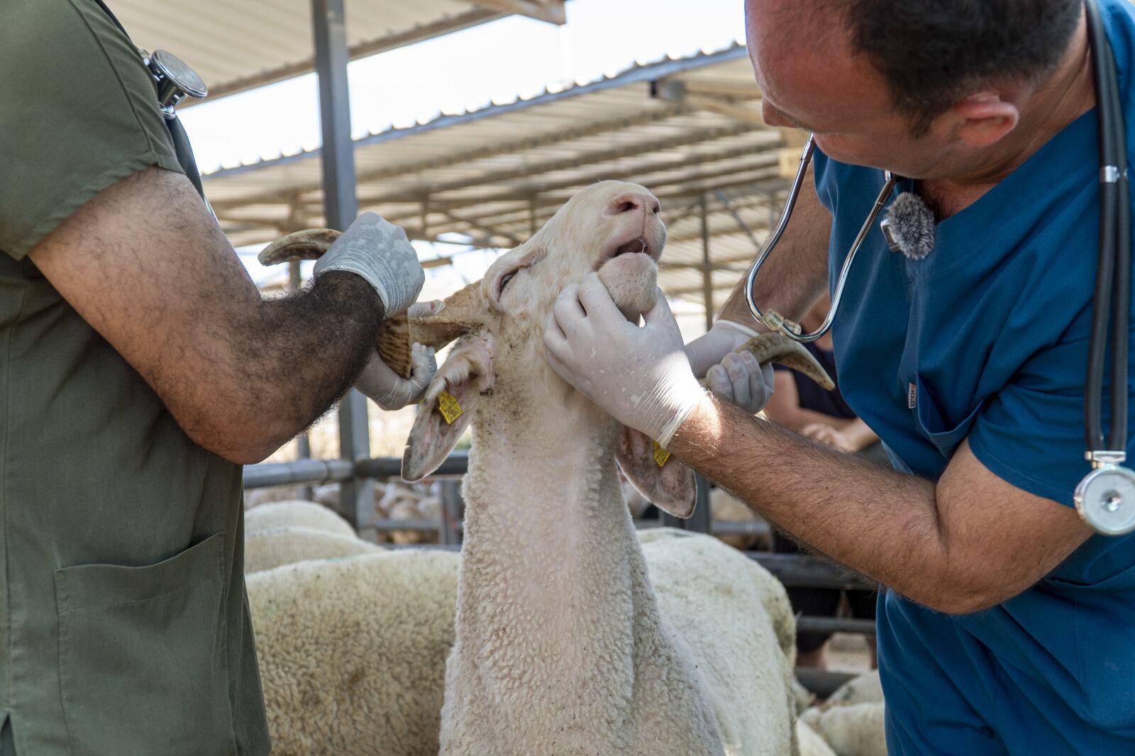 Karşıyaka Belediyesi