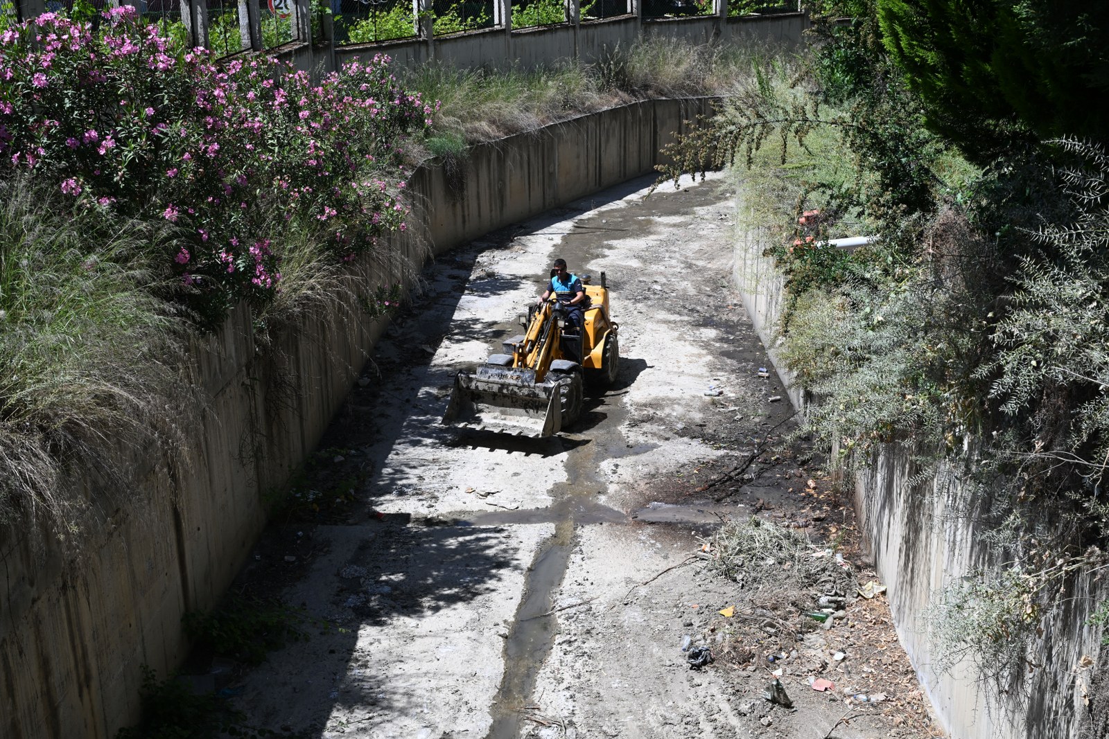 Bozköy Deresi yeni yüzüyle doğaseverlere açılıyor