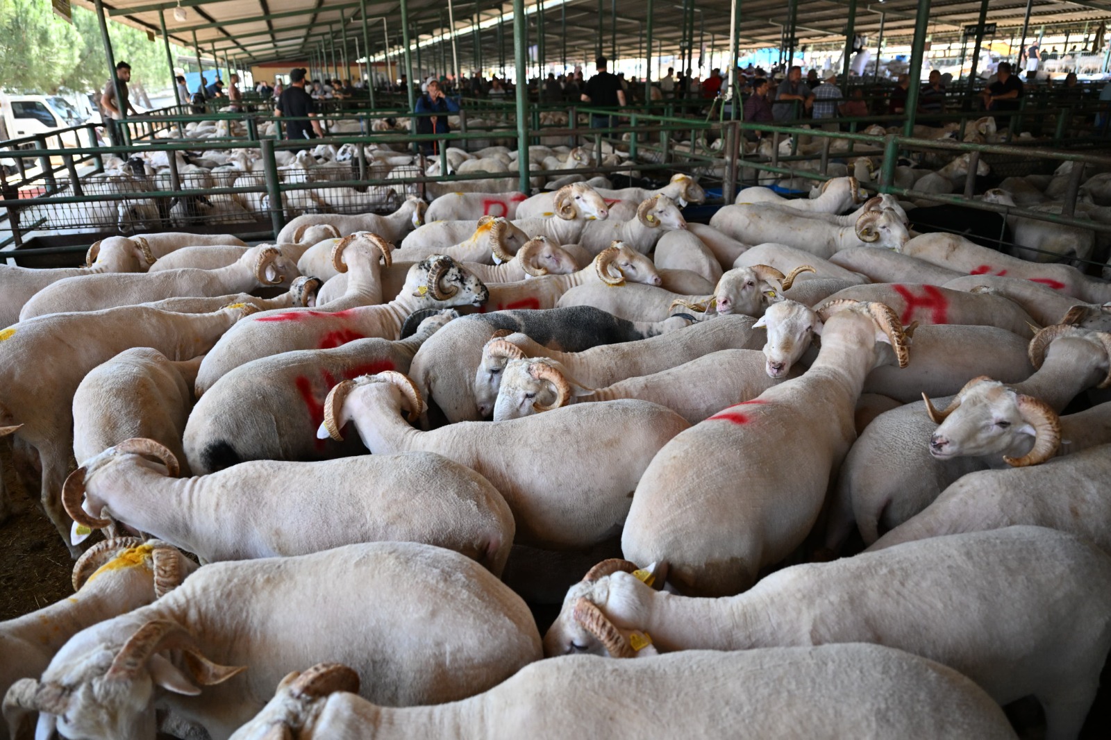 Başkan Zeyrek'ten satıcılara ve alıcılara bayram ziyareti