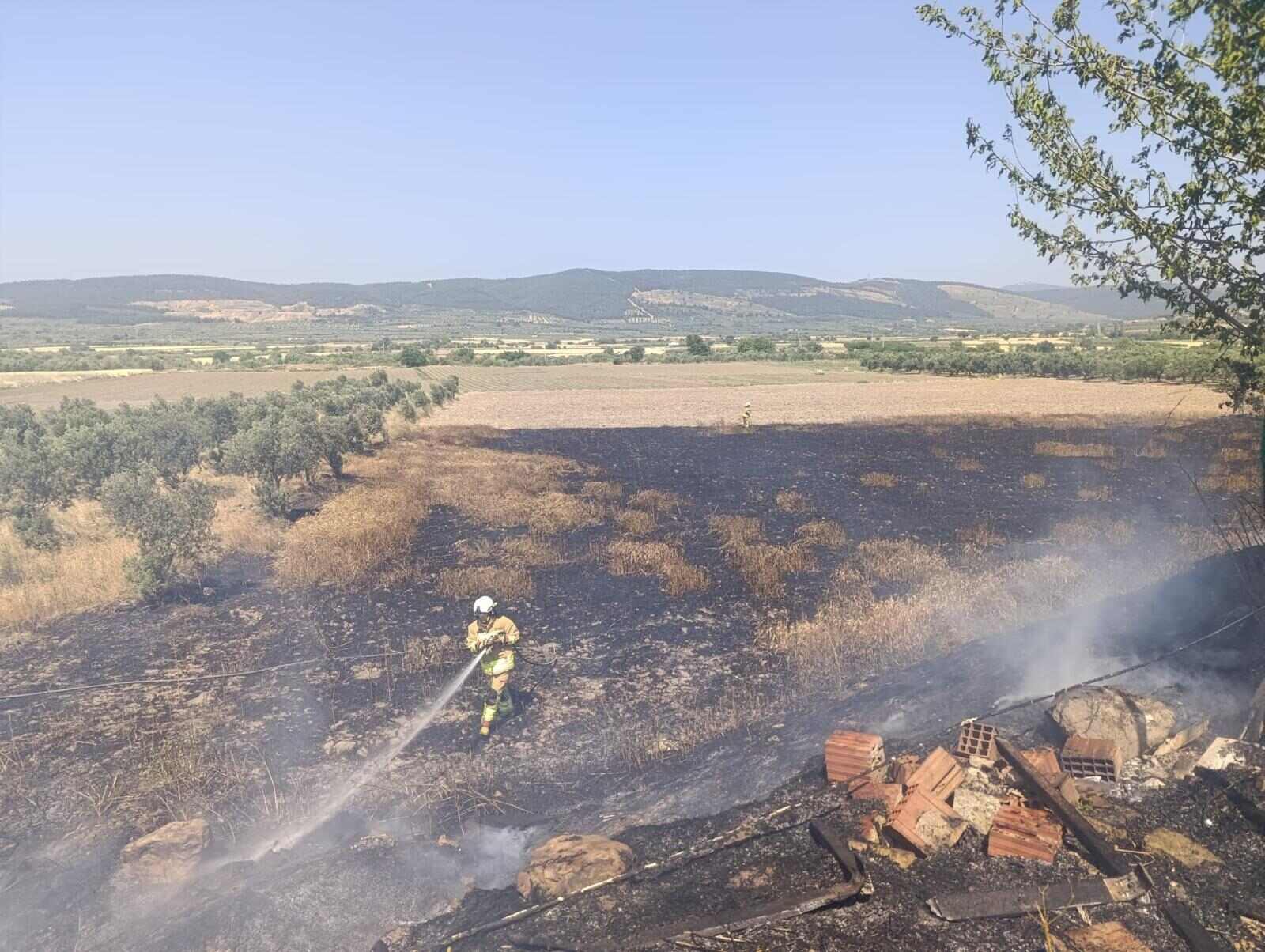 Manisa yangın