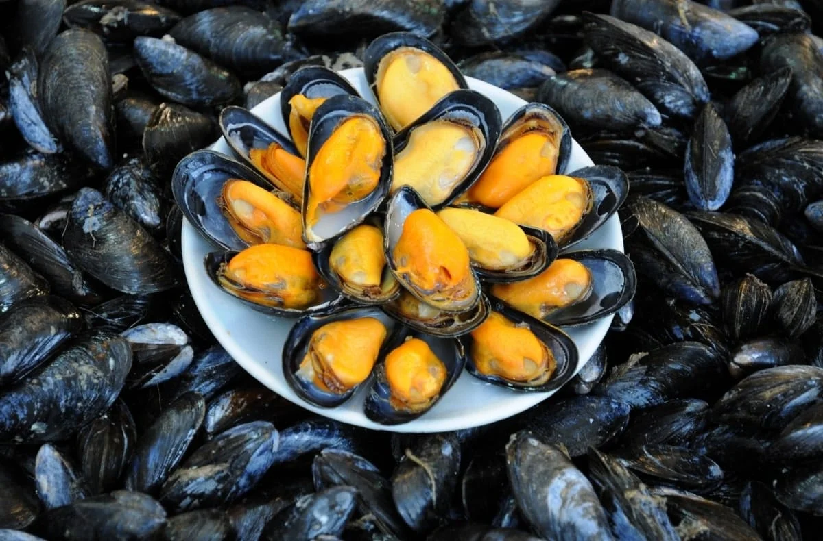 Midye Dolma