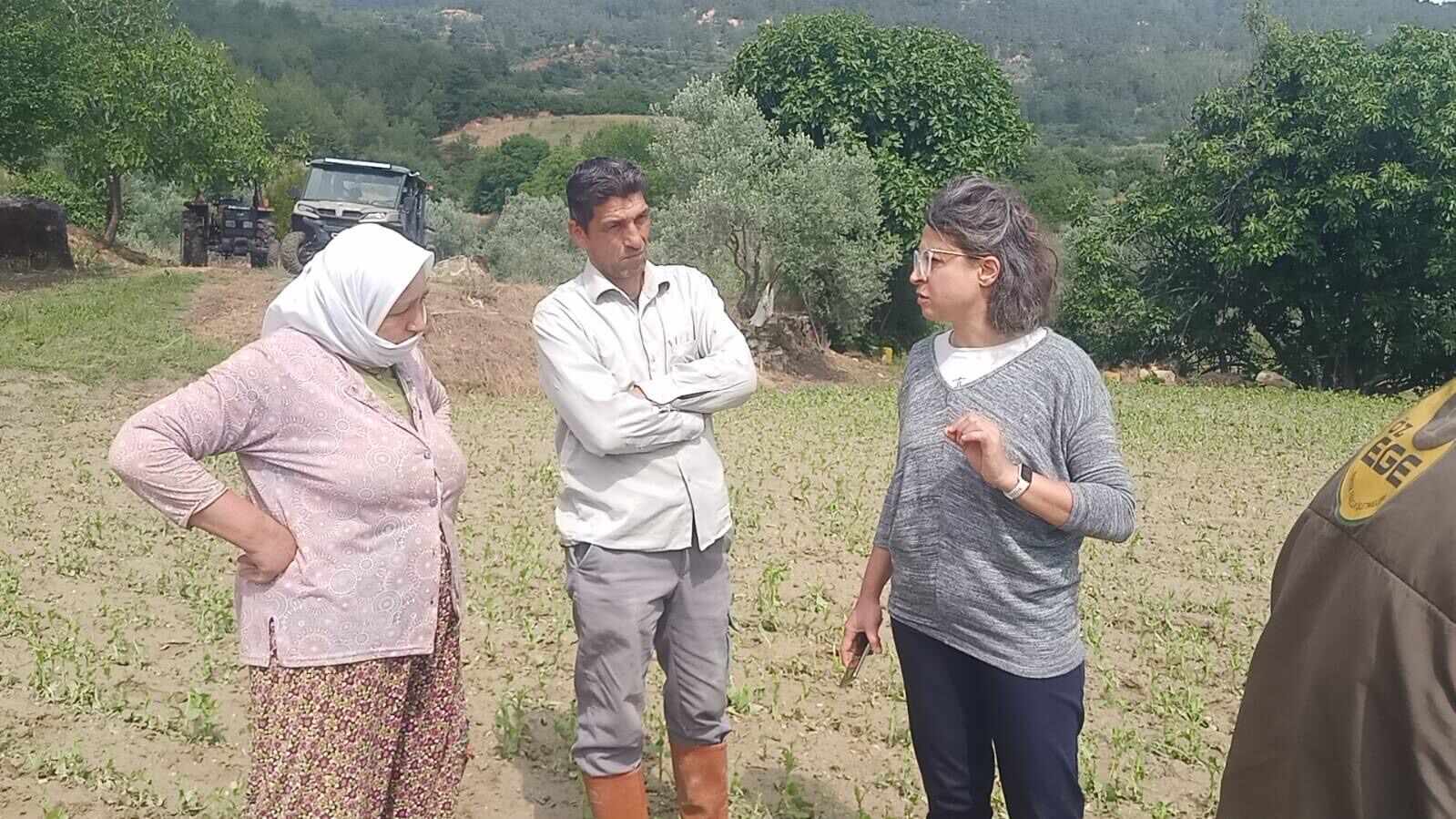 Muğla Büyükşehir Belediyesi