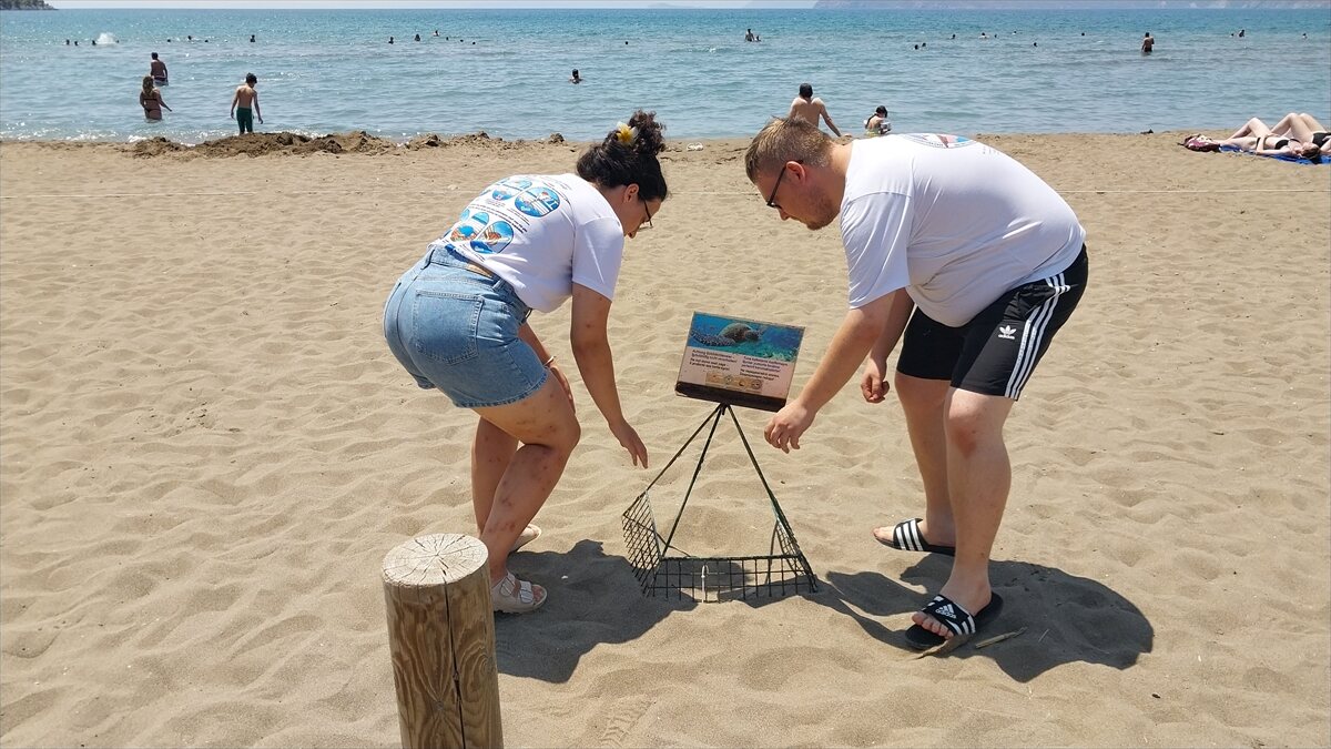 Muğla İztuzu plajı