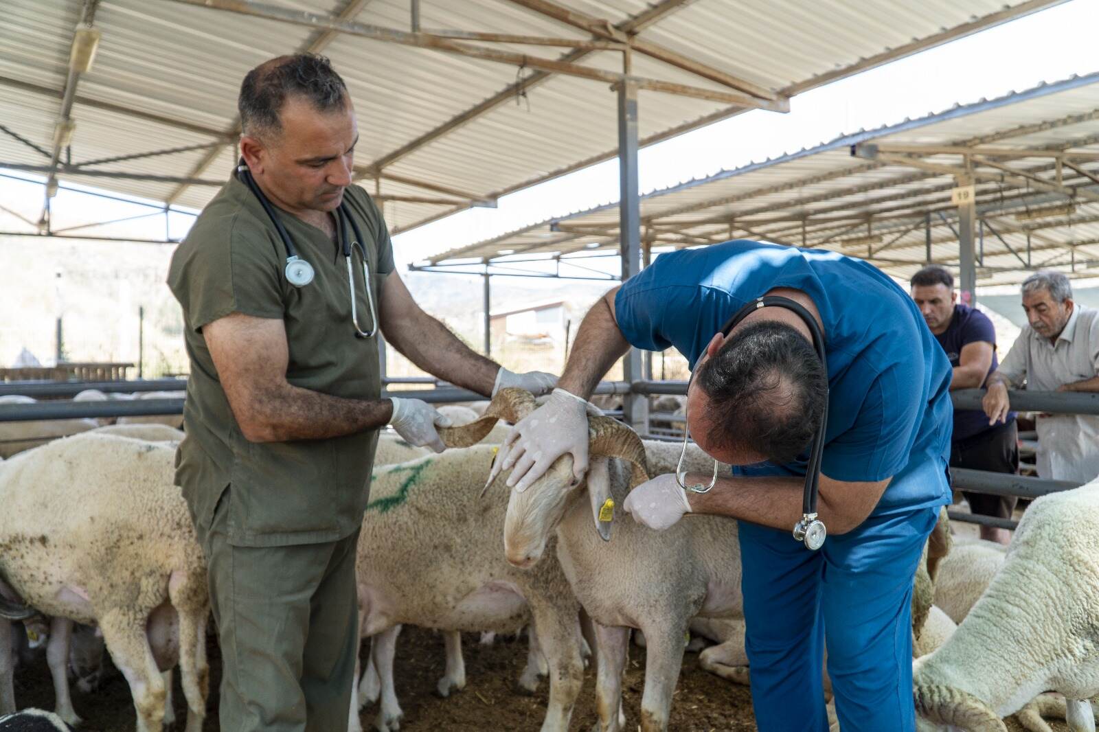 Örnekköy Kurban Satış ve Kesim Yeri