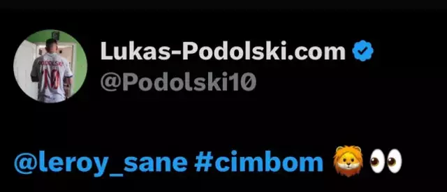 Podolski'den Sane Paylaşımı