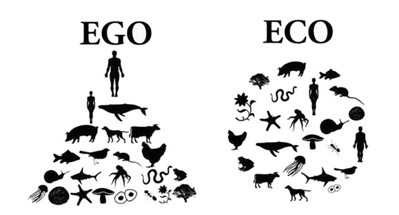 Savaşlar ve iklim mülteciliği: Geri dönülmez bir döngü