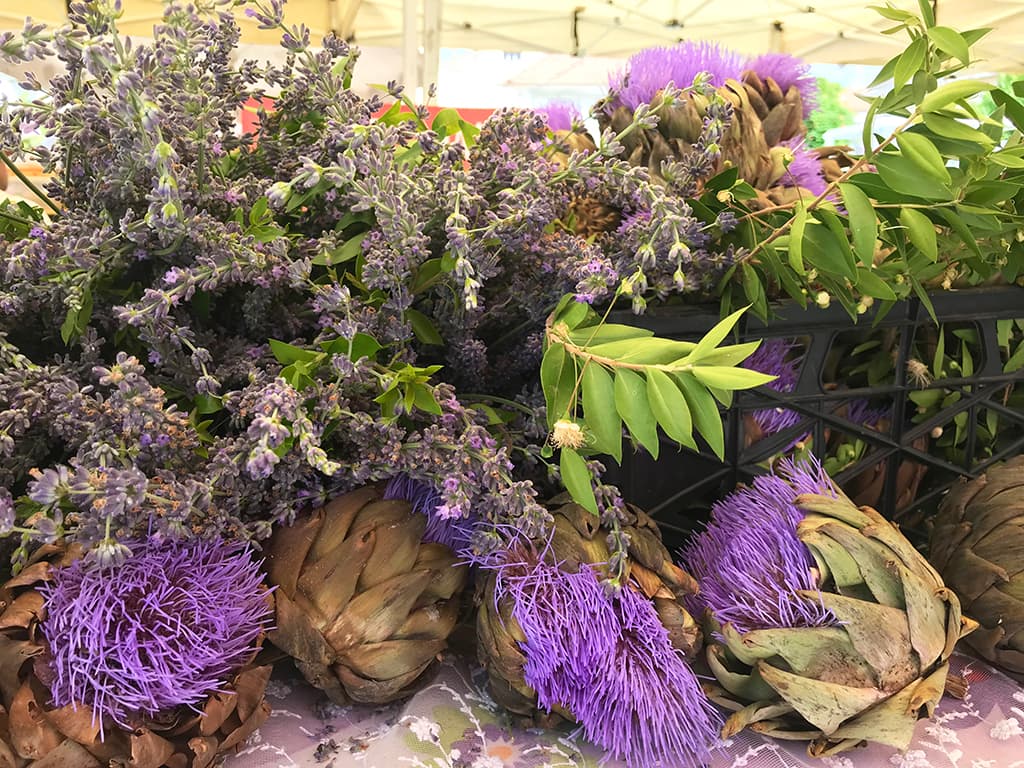 Seferihisar Belediyesi