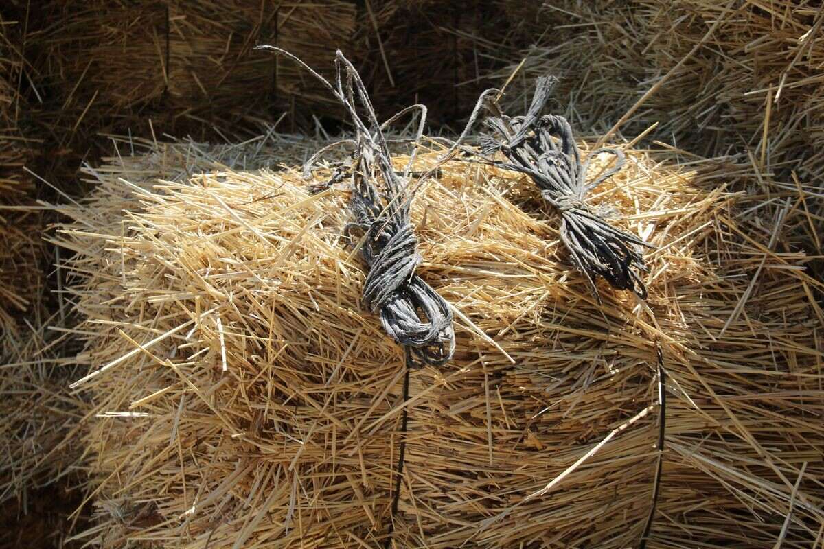 Söke ADM Elektrik Dağıtım Şirketi