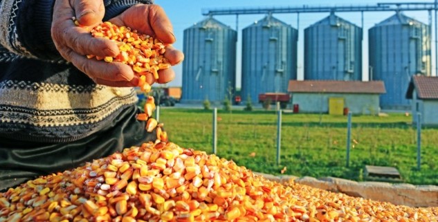 Sanayi ve tarımda daralma var