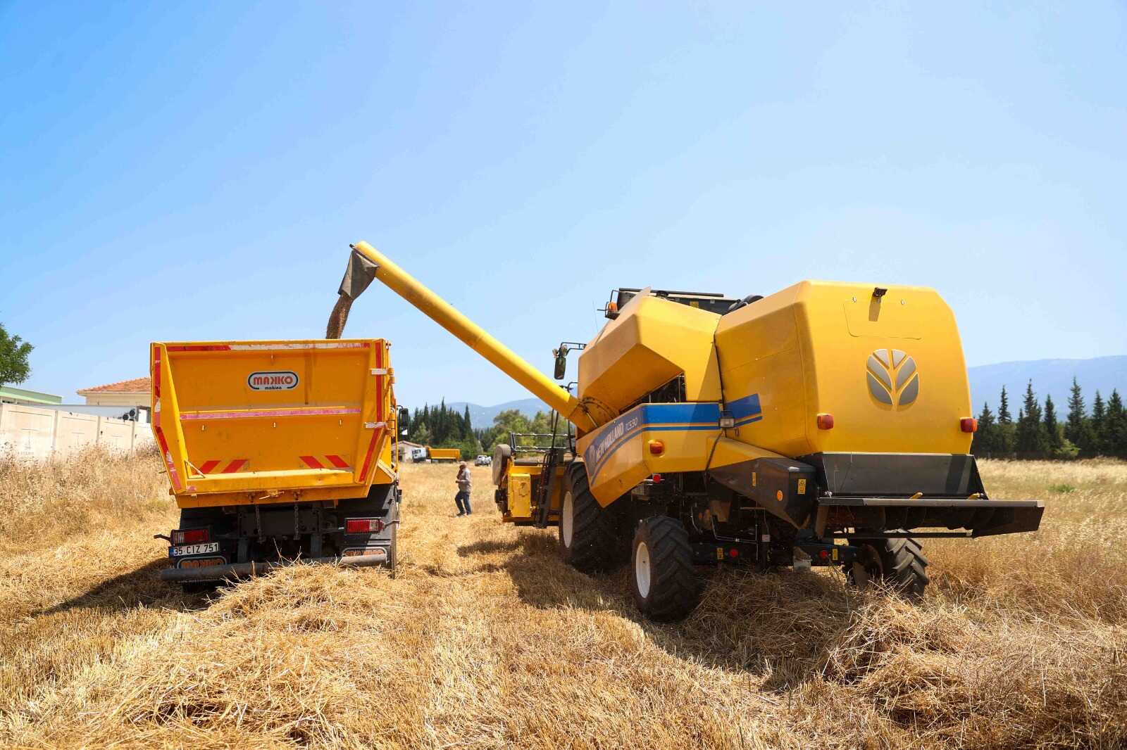 Tarımda Buca Modeli